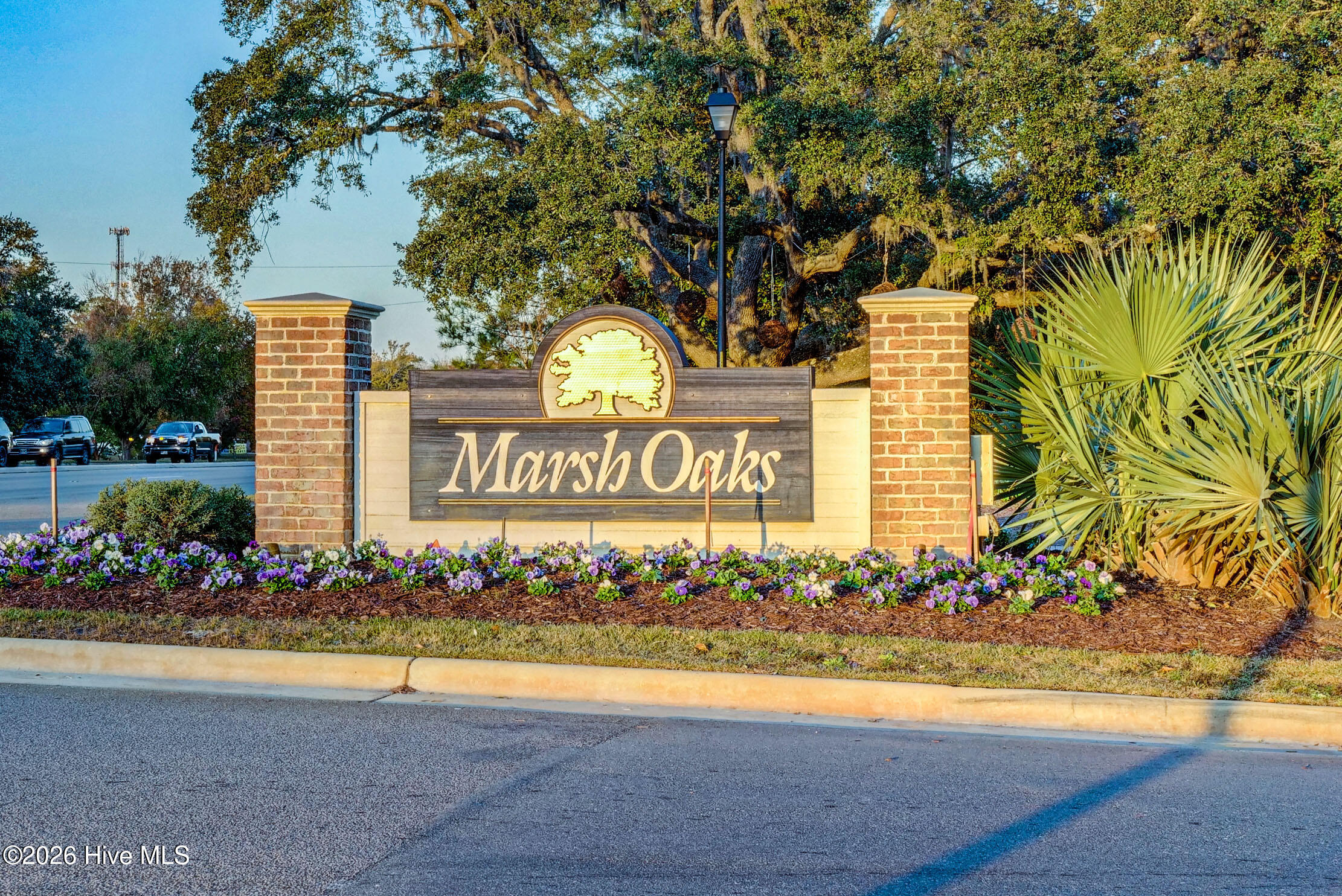 100555649 | Photo 51