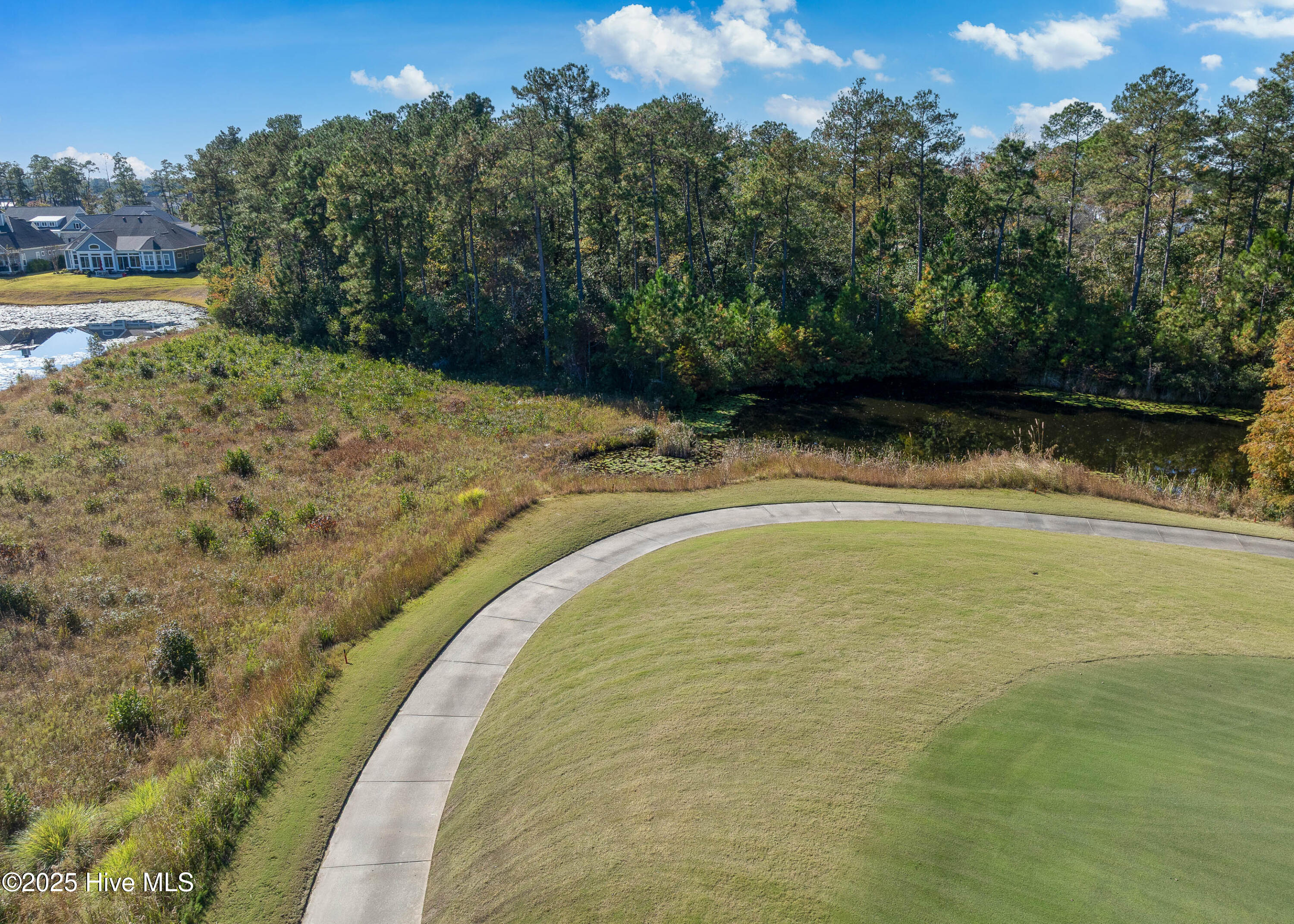 100539491 | Photo 35