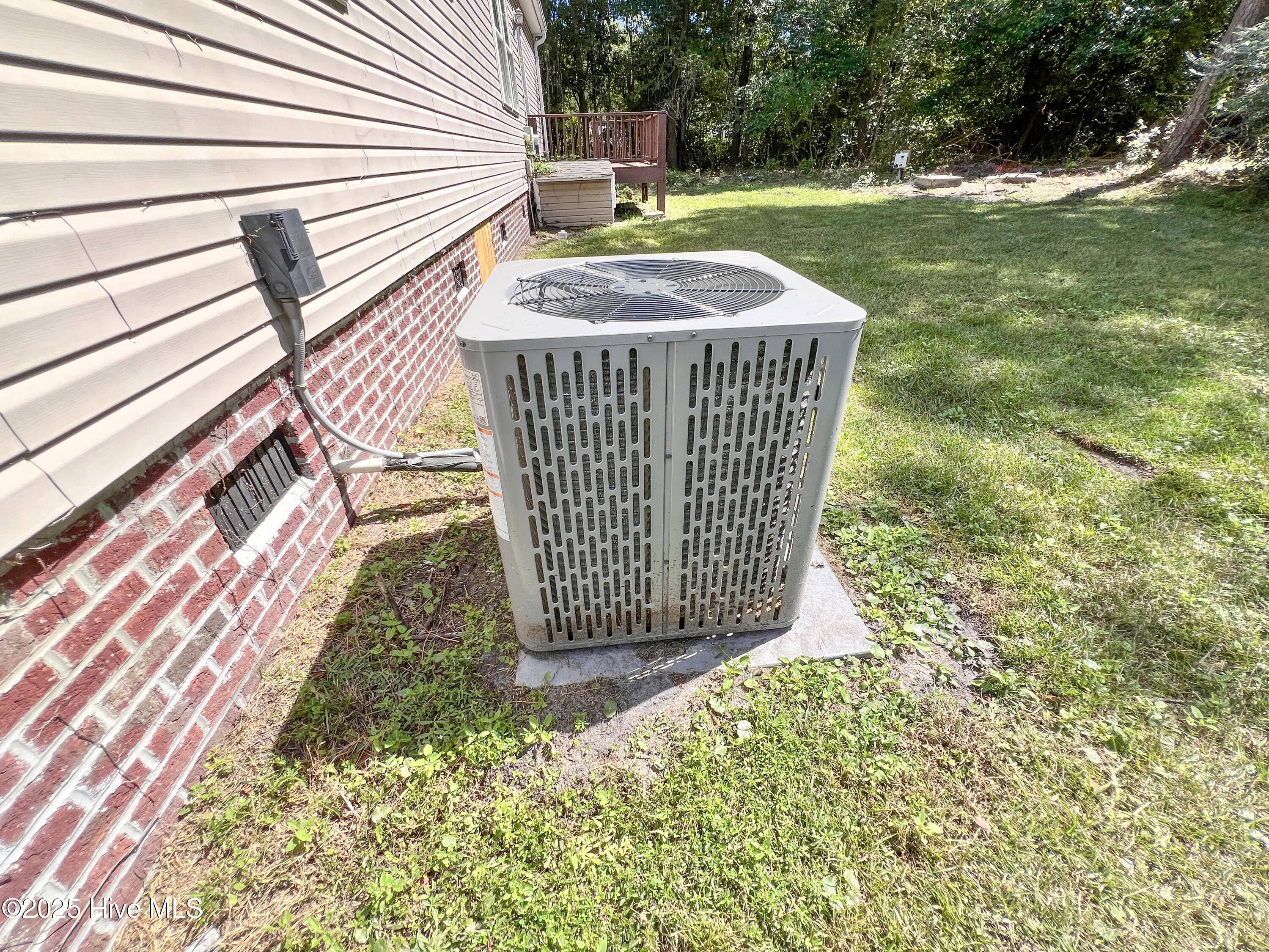 100535017 | Photo 25