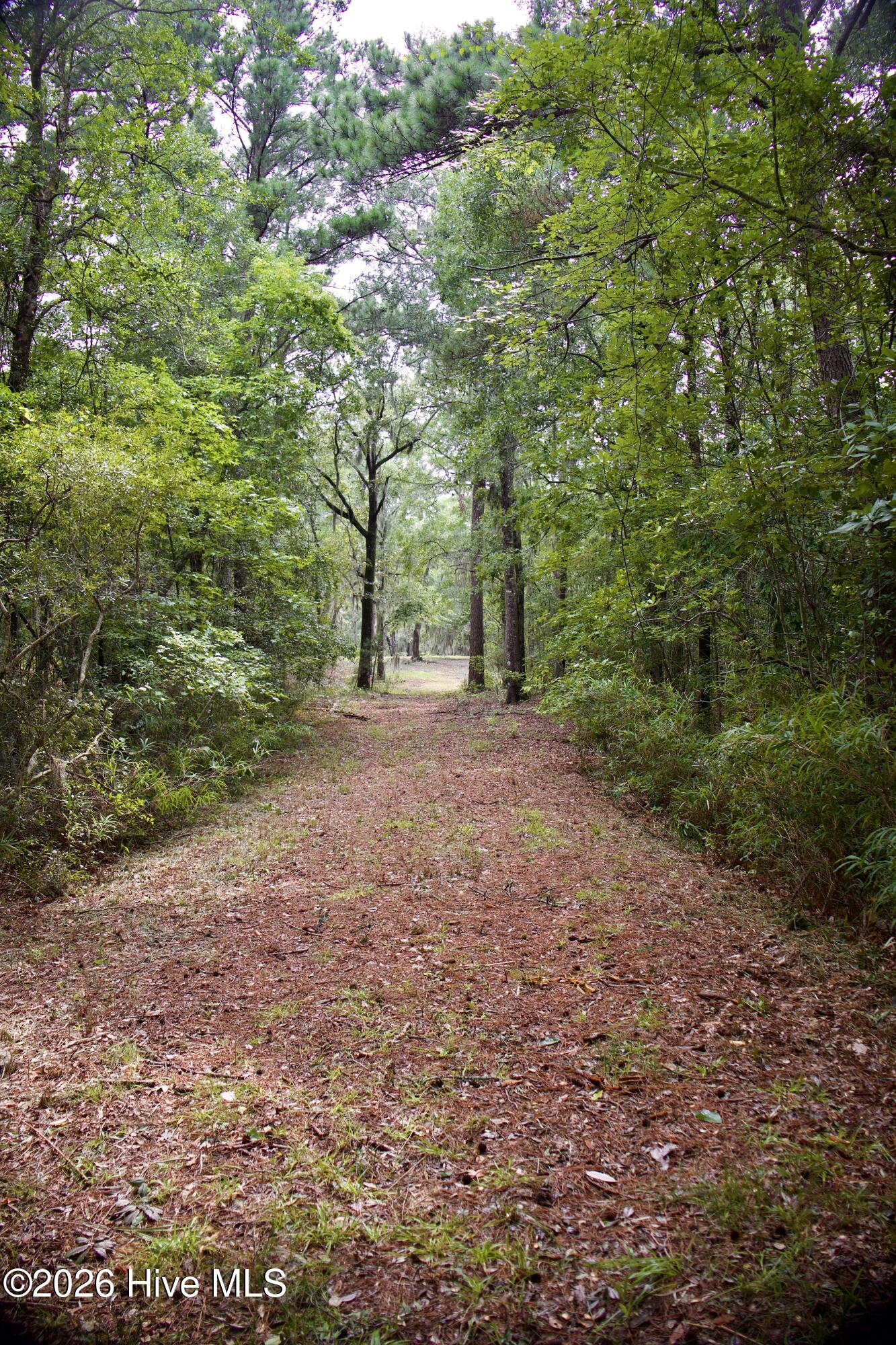 385 Sand Ridge Road,New Bern