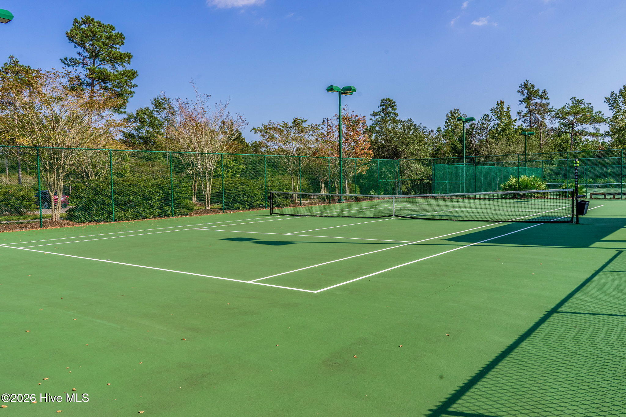 100556819 | Photo 61