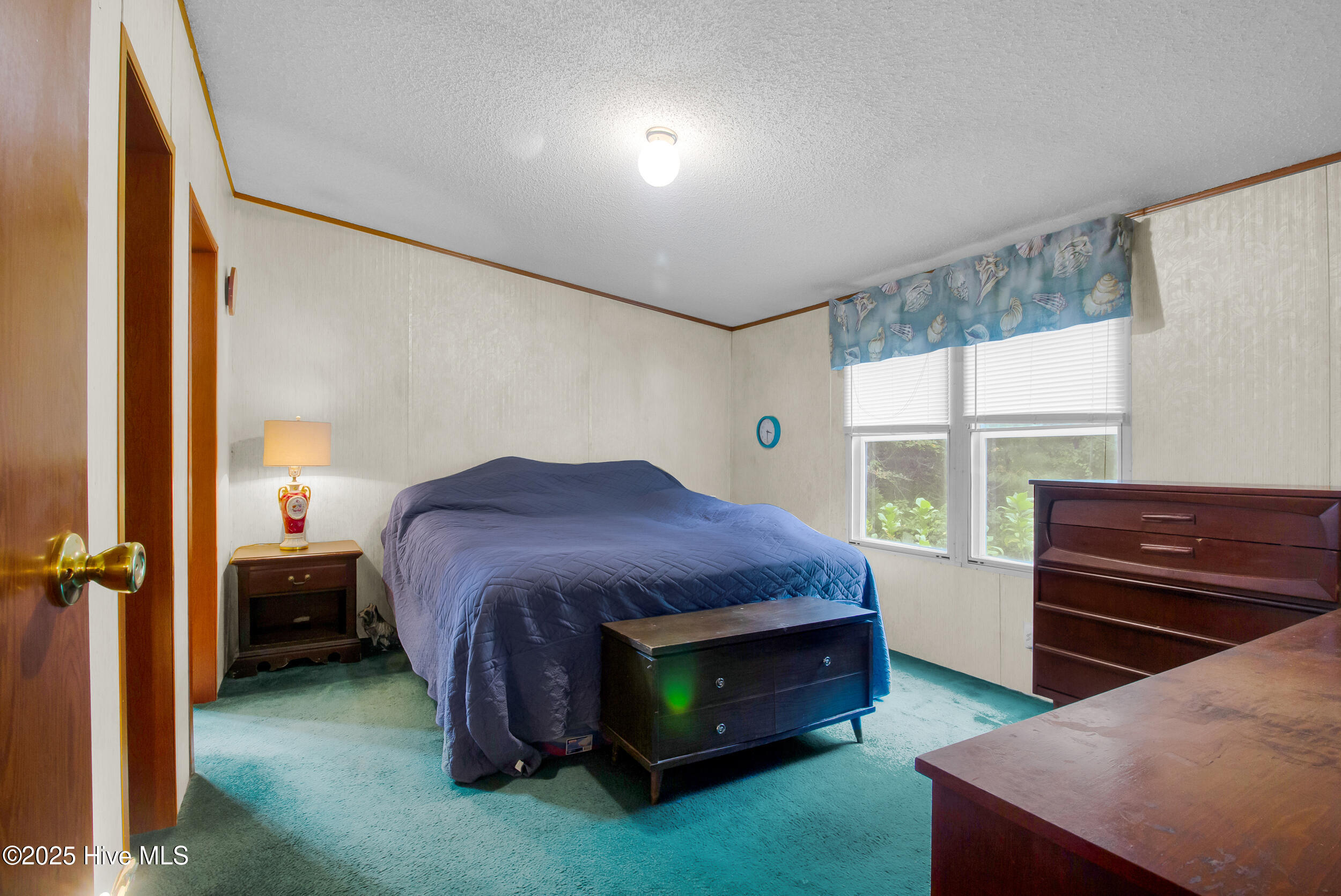 100535721 | Photo 11