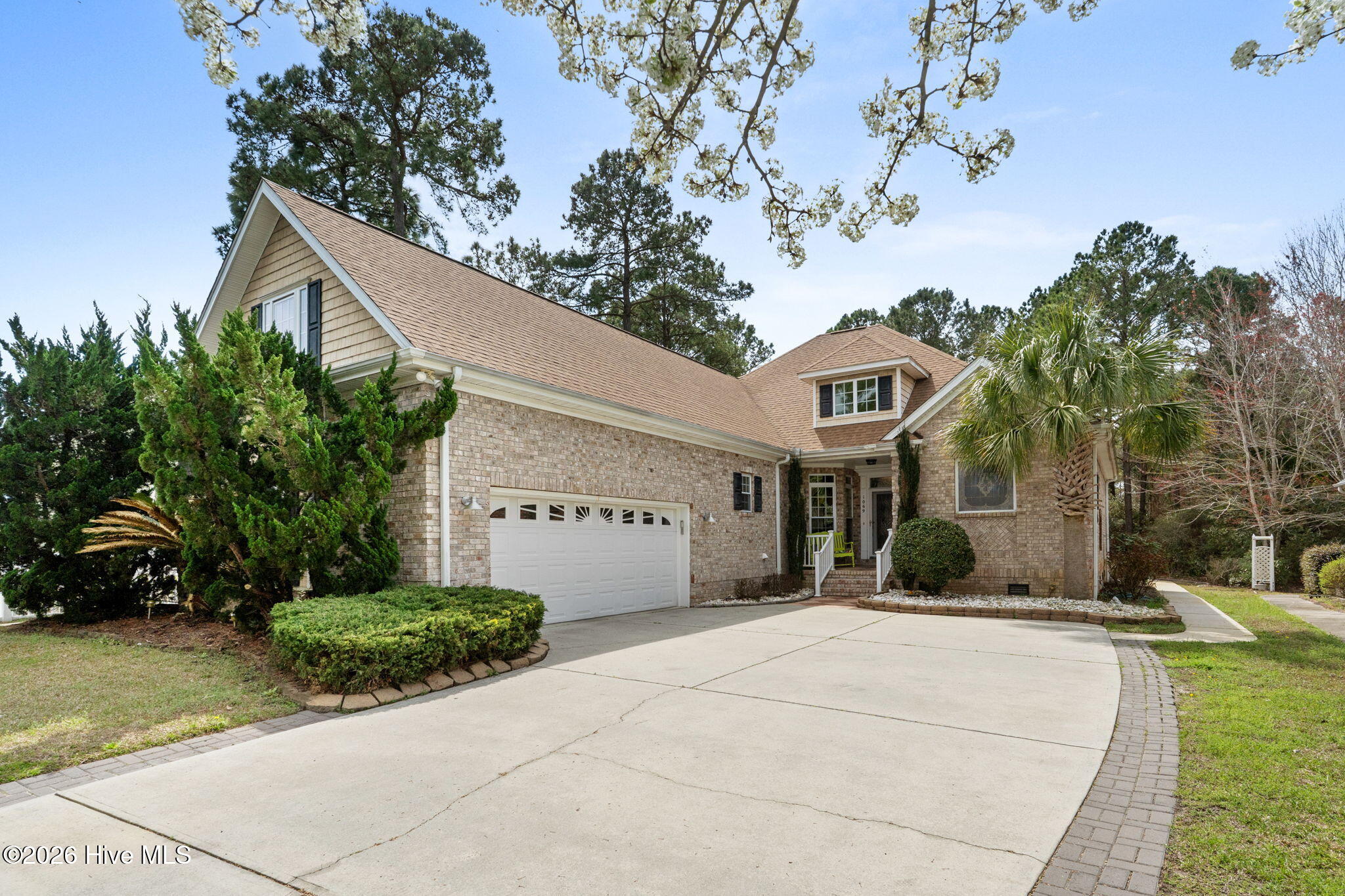 100565565 | Photo 52