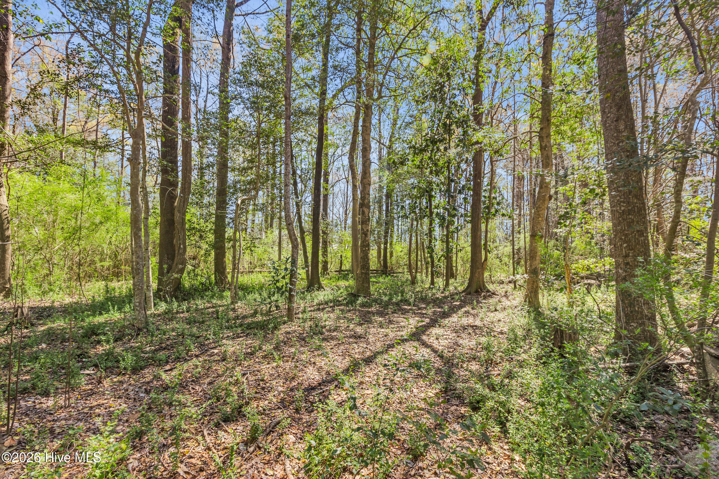 275 Bayleaf 