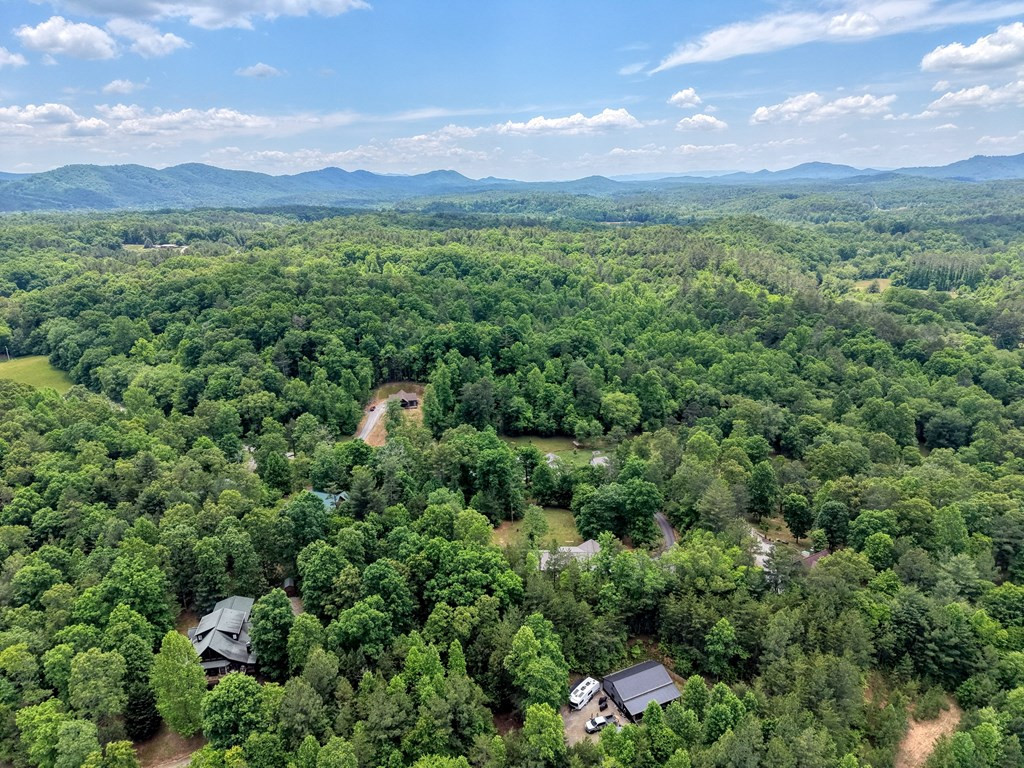 290 Butterball Boulevard, Murphy, NC 28906 Listing Photo  45