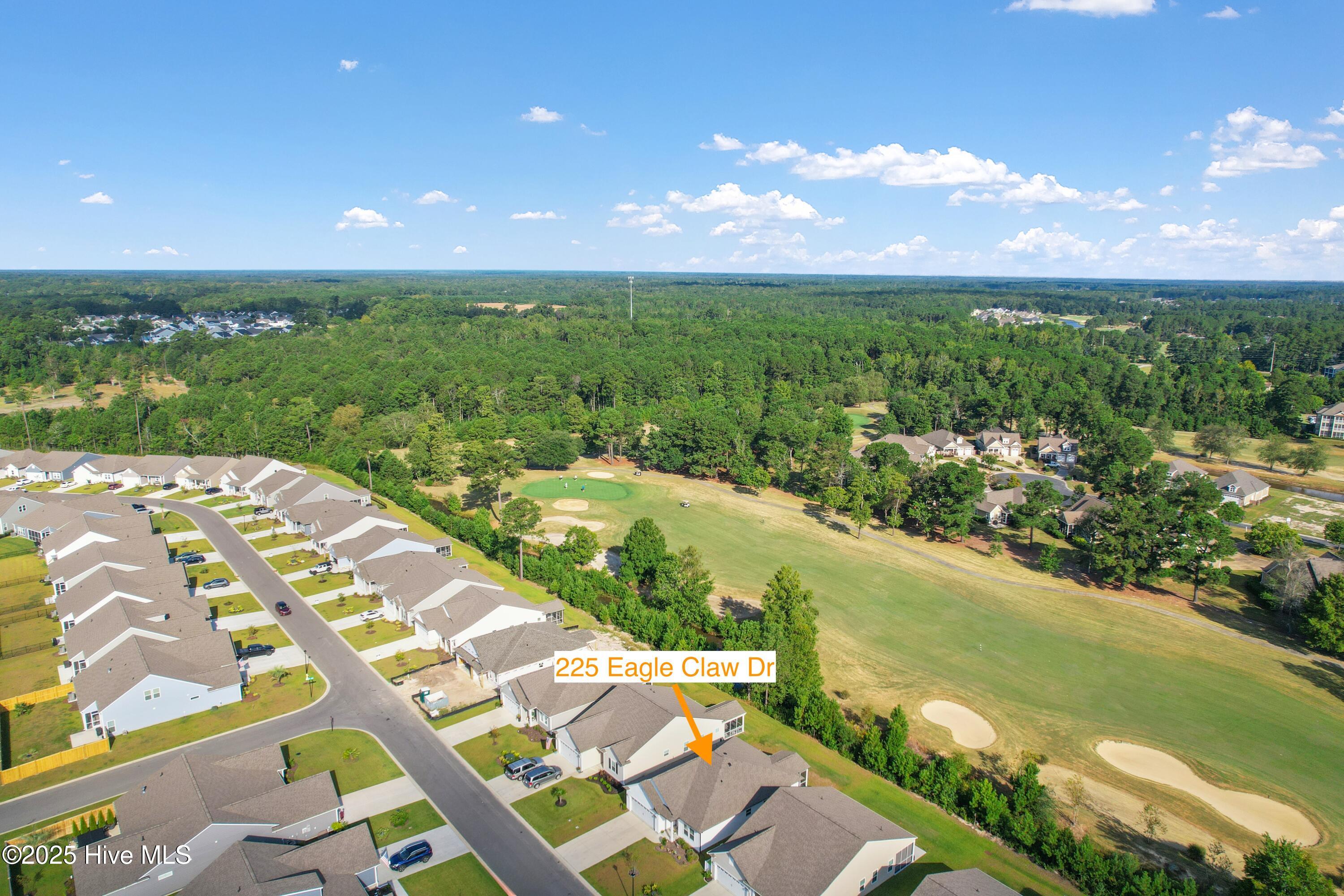 100532742 | Photo 39