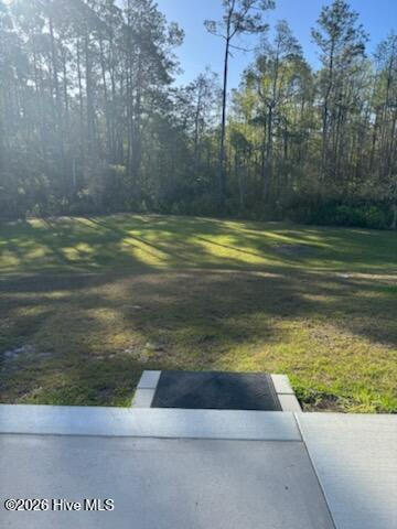 100565912 | Photo 24