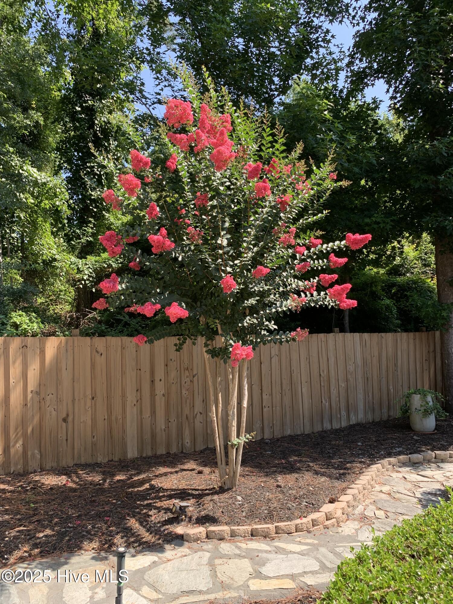 100545270 | Photo 26