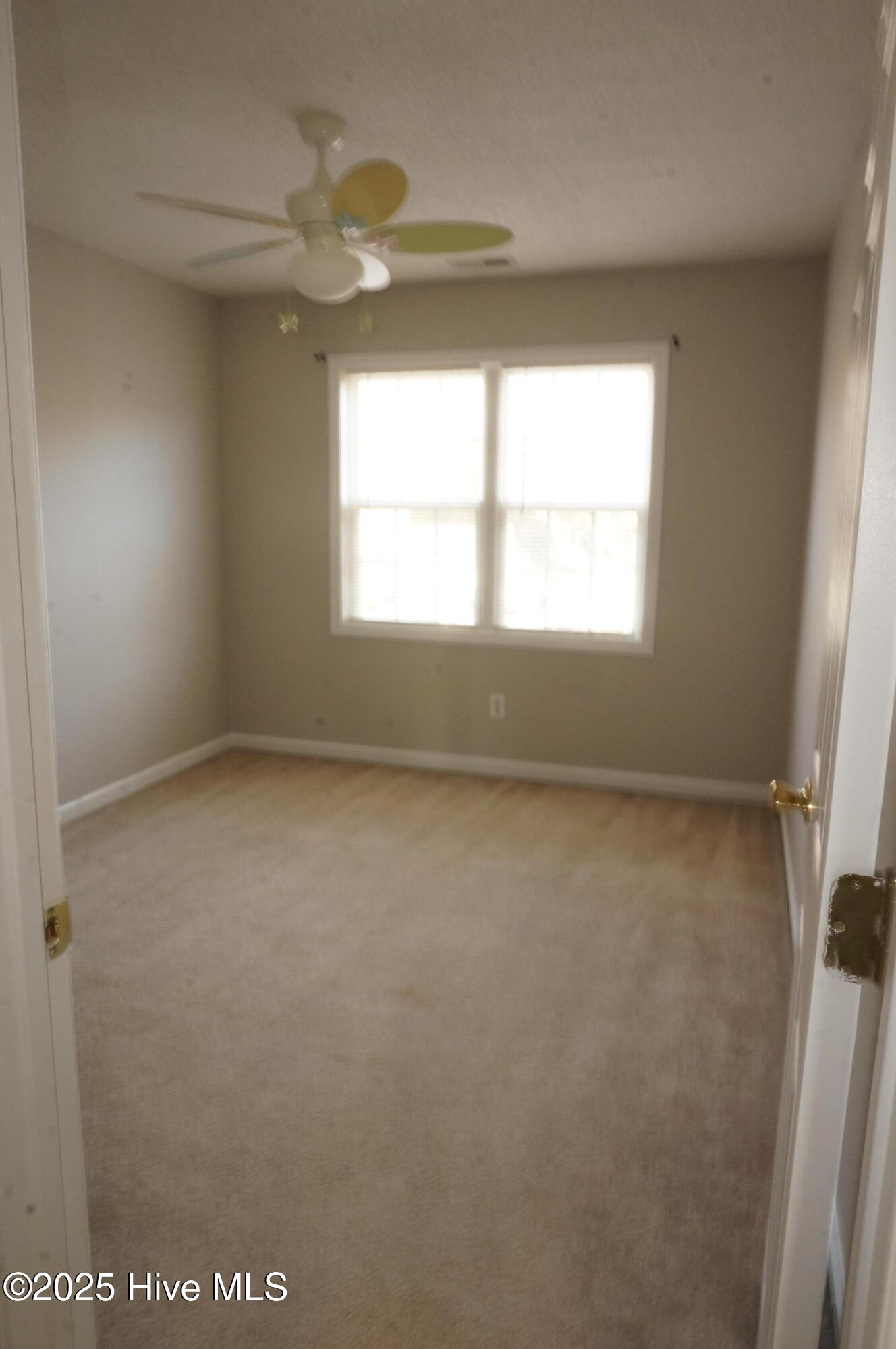 100546004 | Photo 24