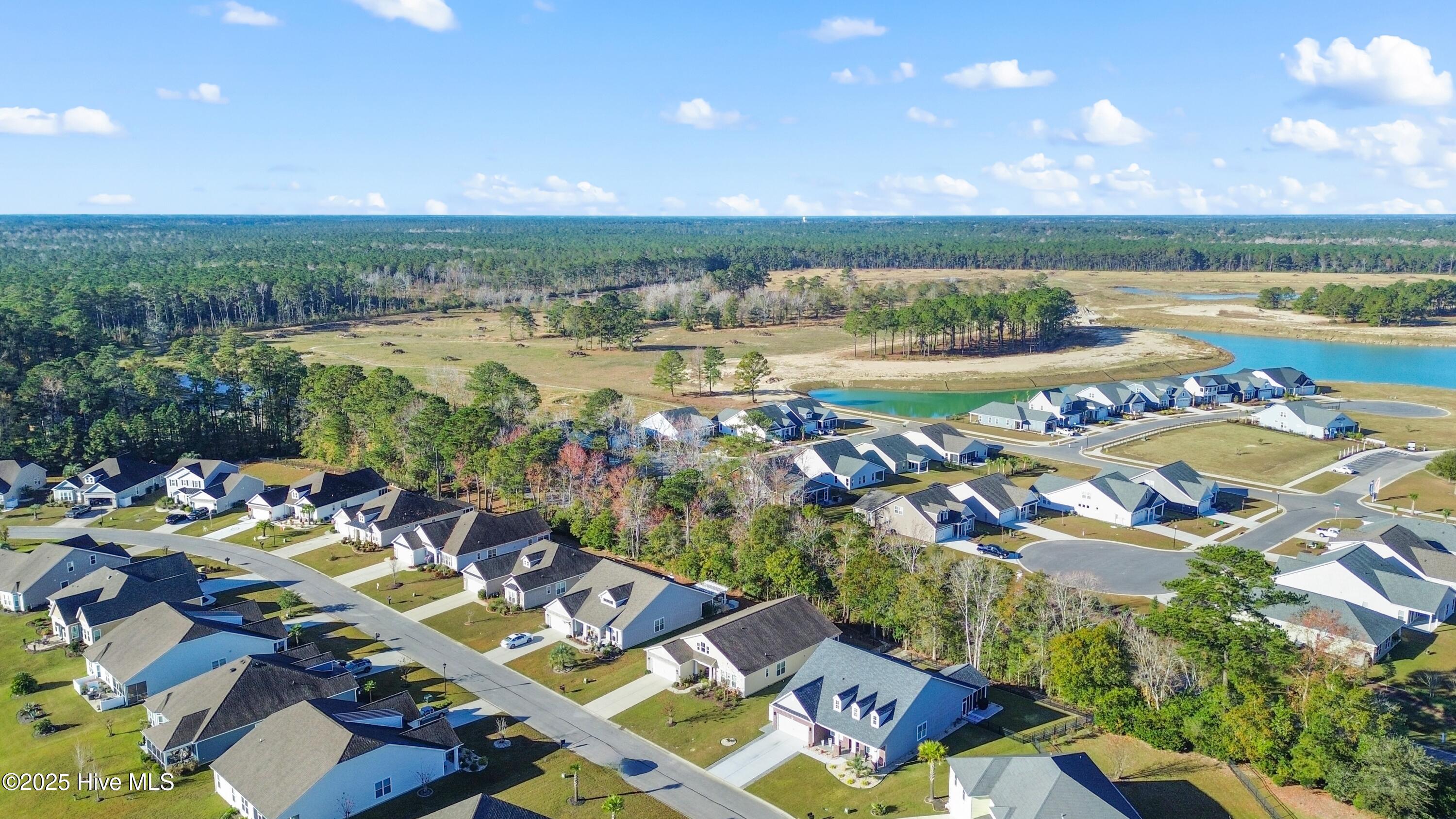 100542898 | Photo 51