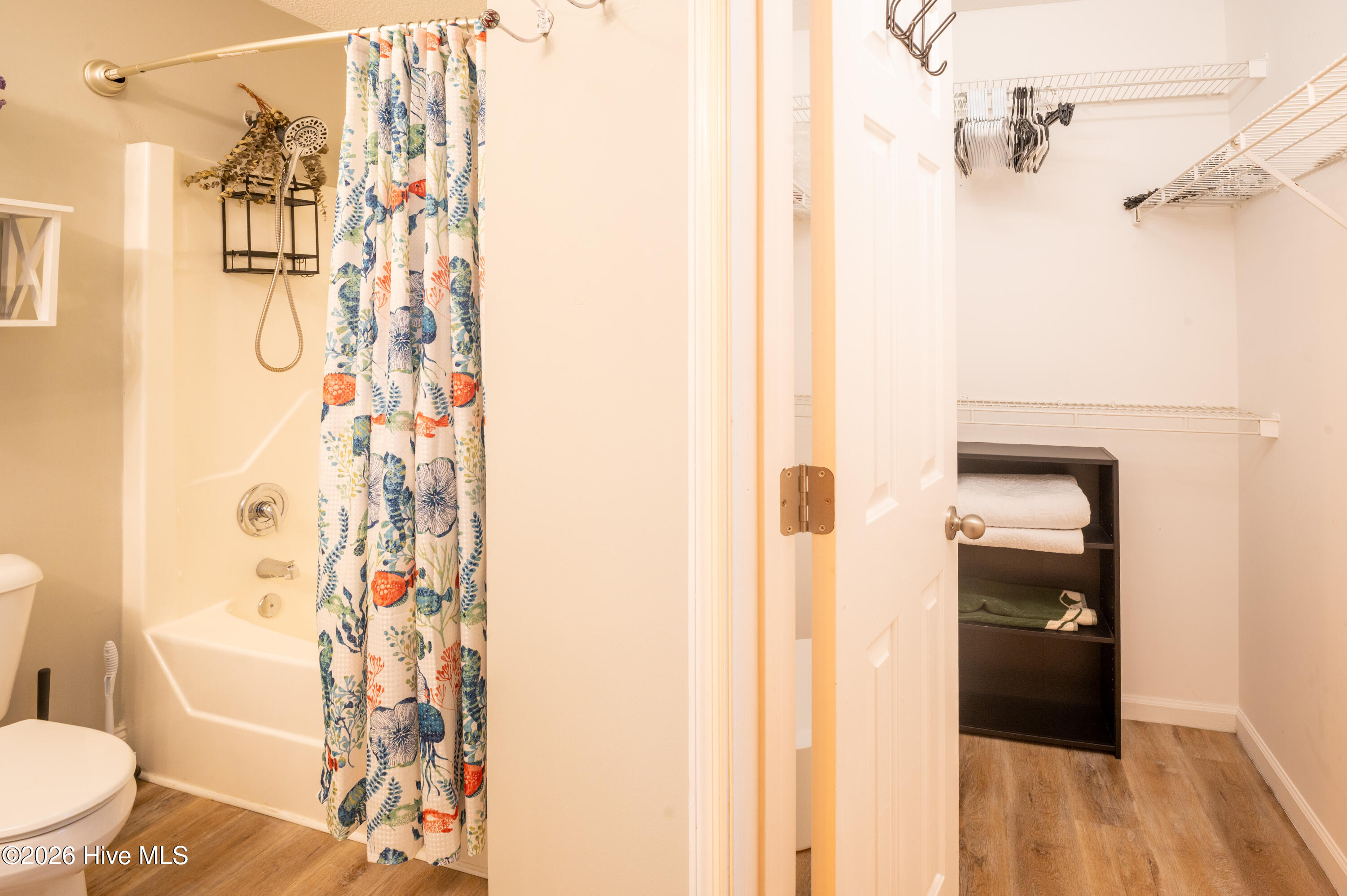 100553127 | Photo 23