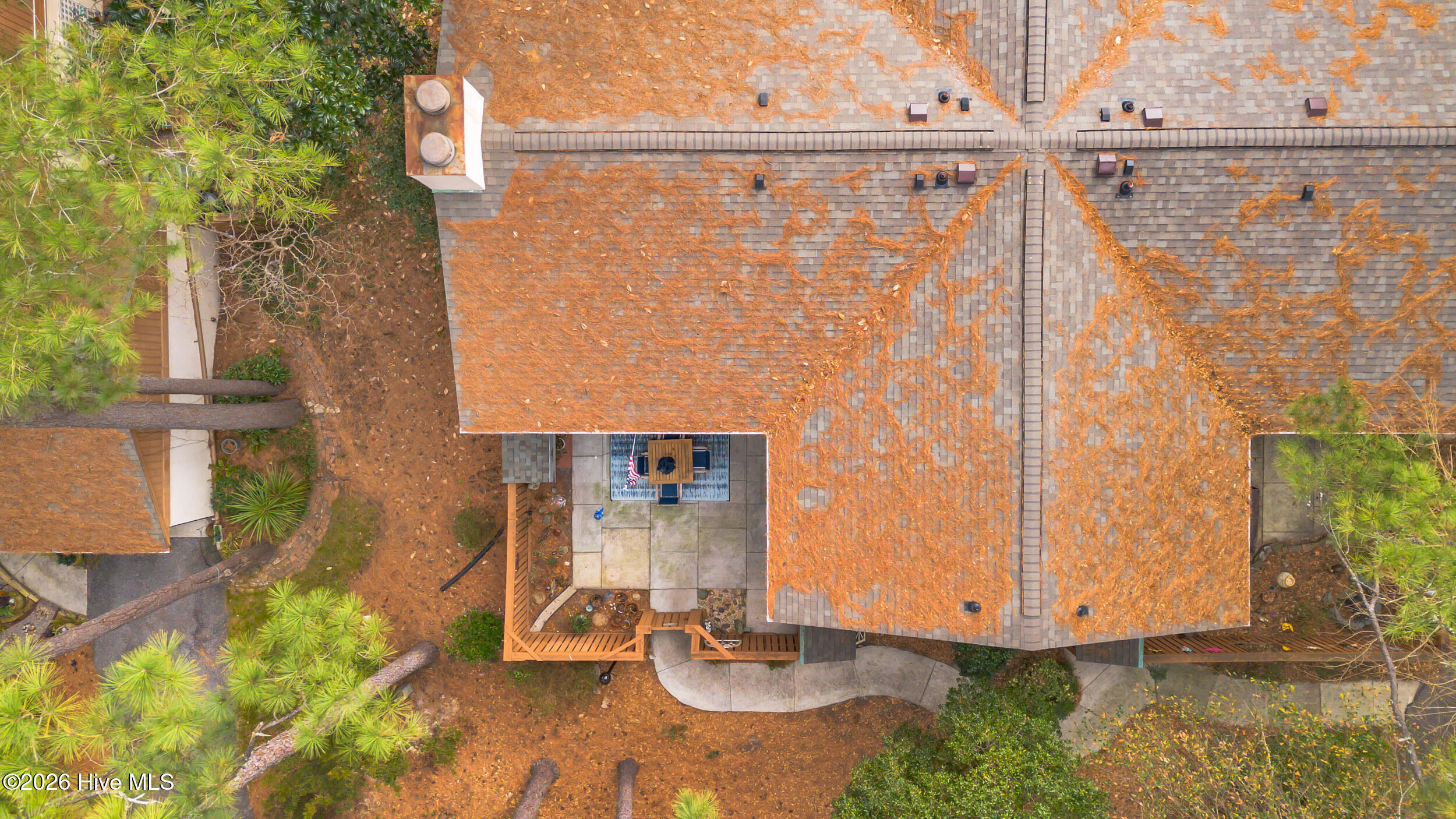 100549409 | Photo 38