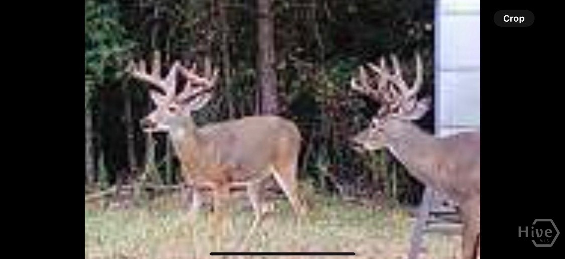 Homes for sale in Comer, GA | 0 Ga Hwy 72, Comer, GA 30629 | MLS# CL344632