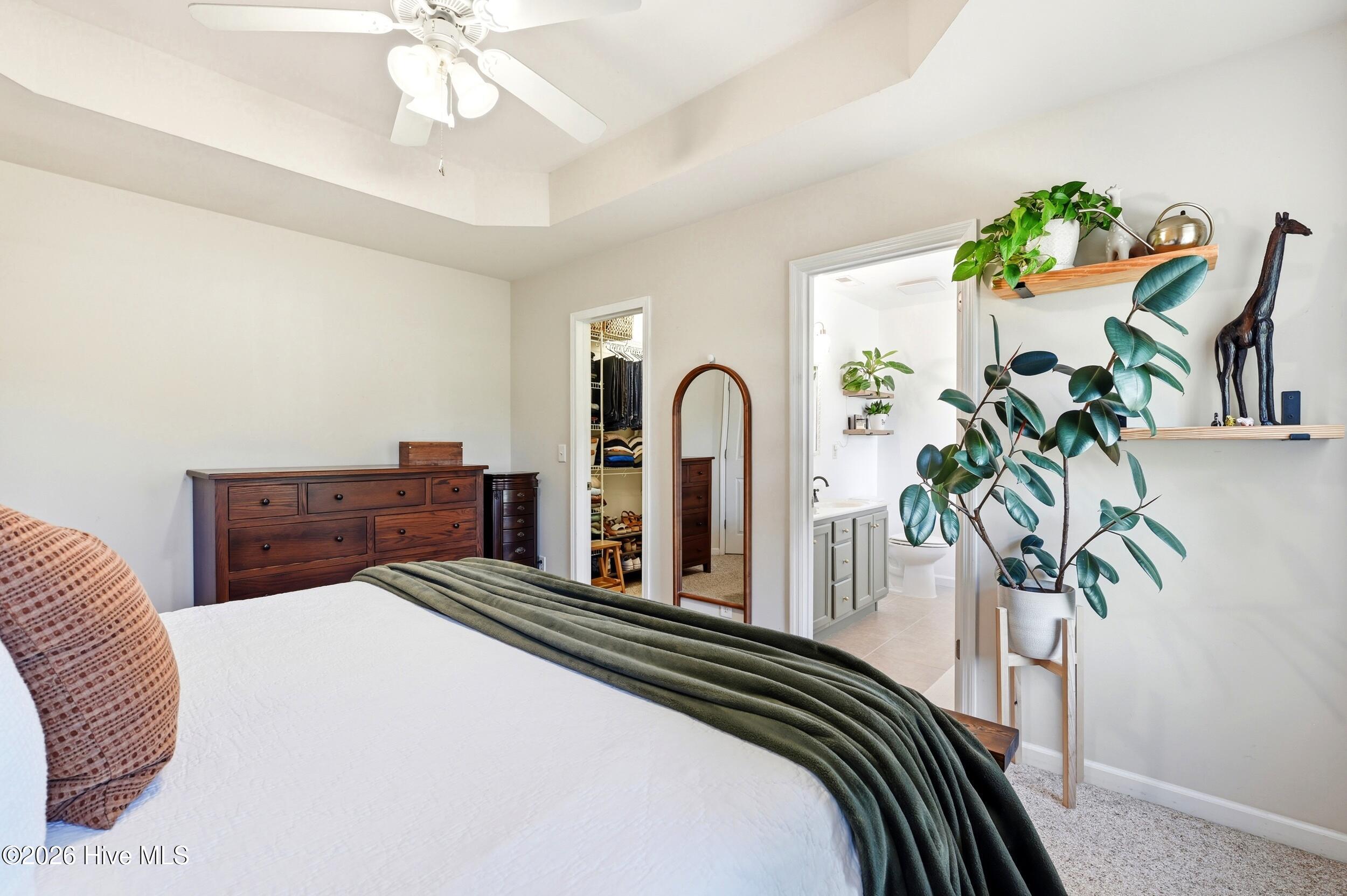 100569719 | Photo 18