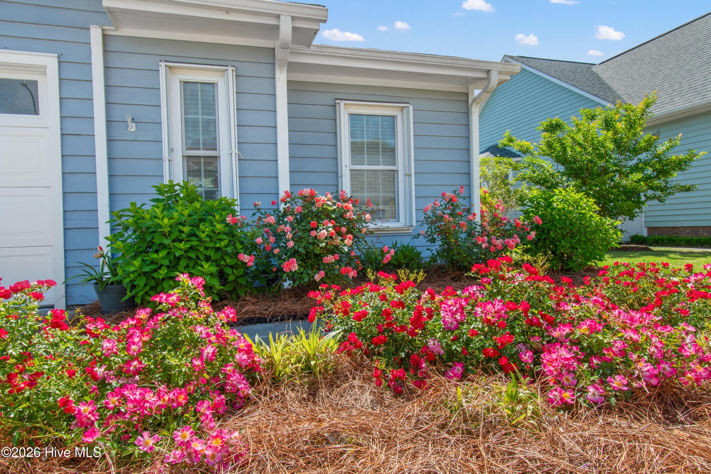 100570489 | Photo 22