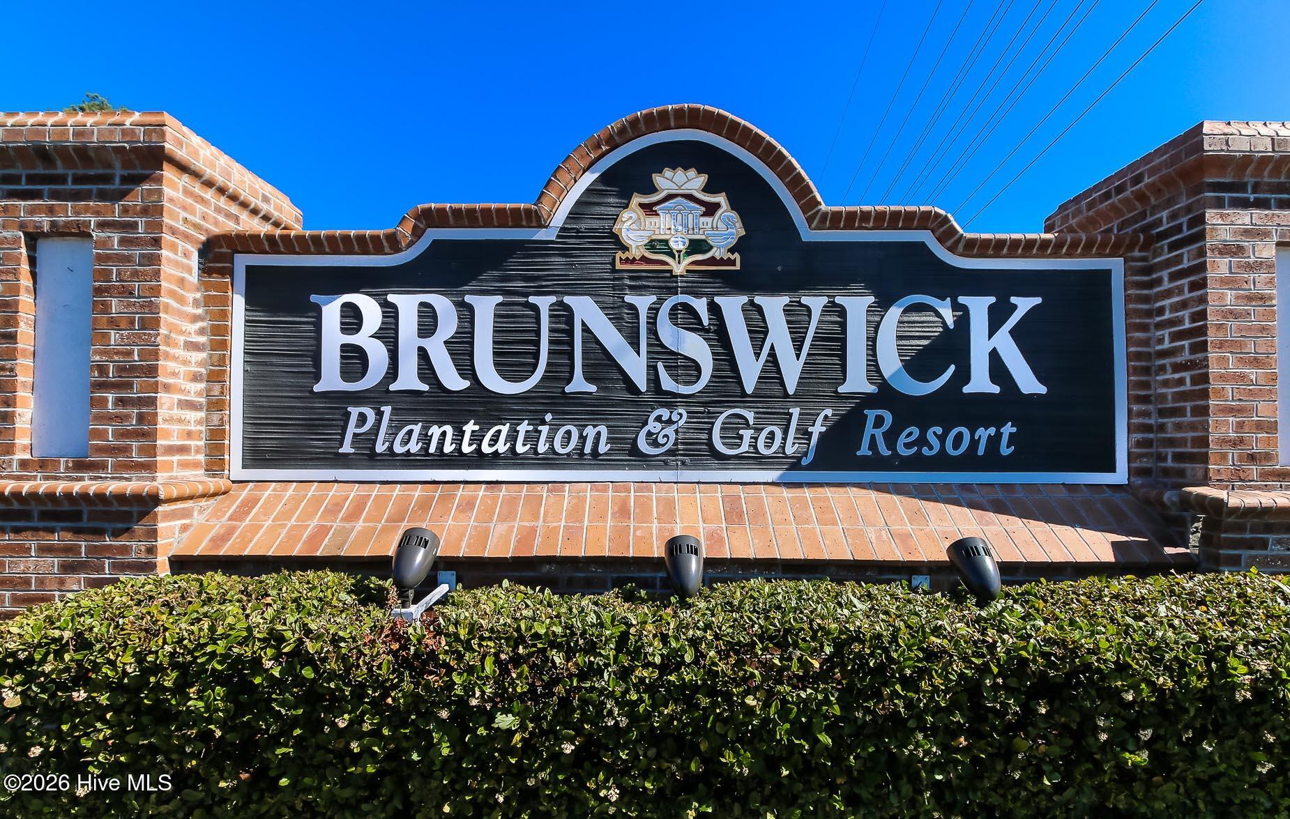 100566591 | Photo 31