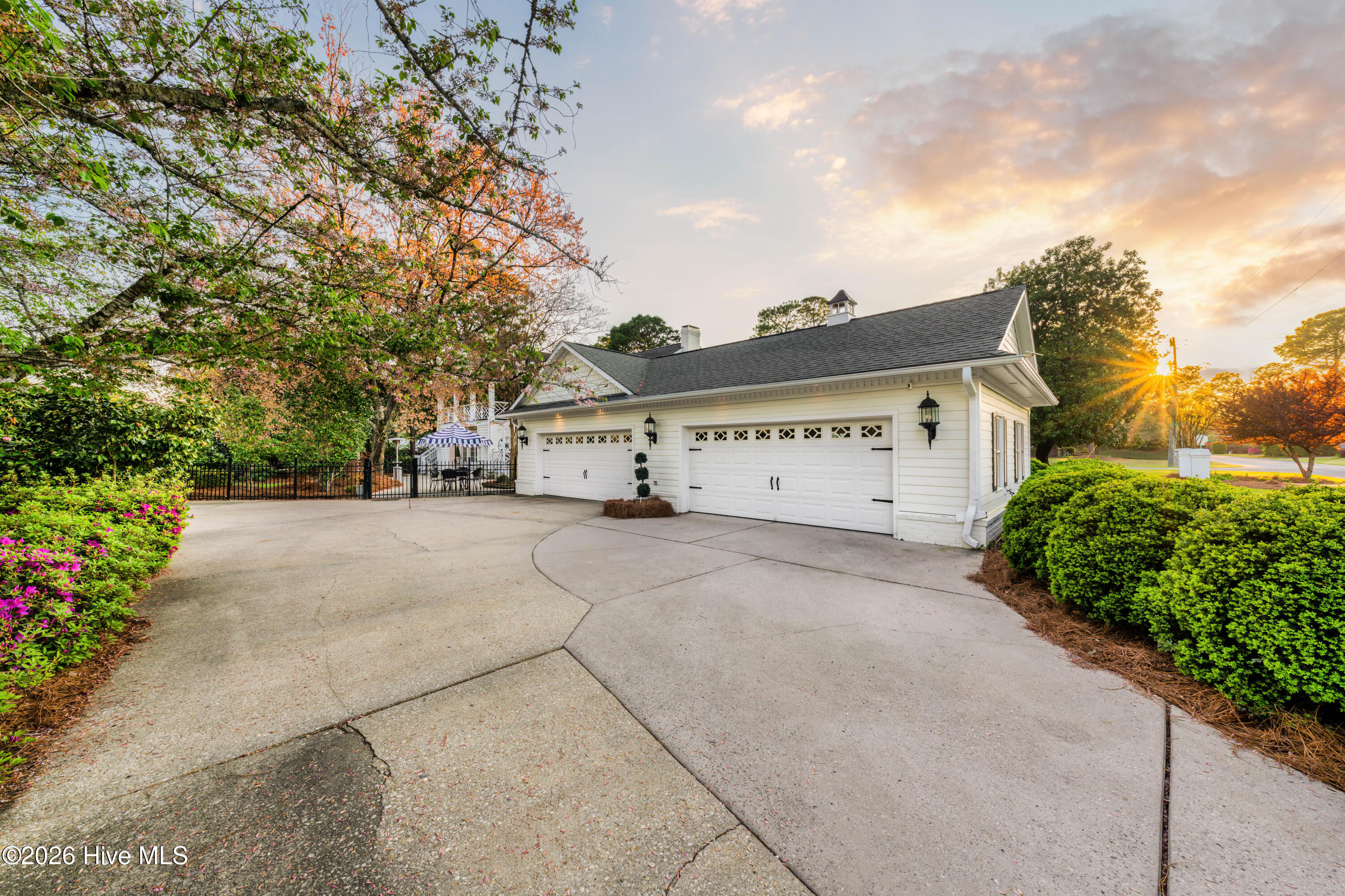 100565005 | Photo 57