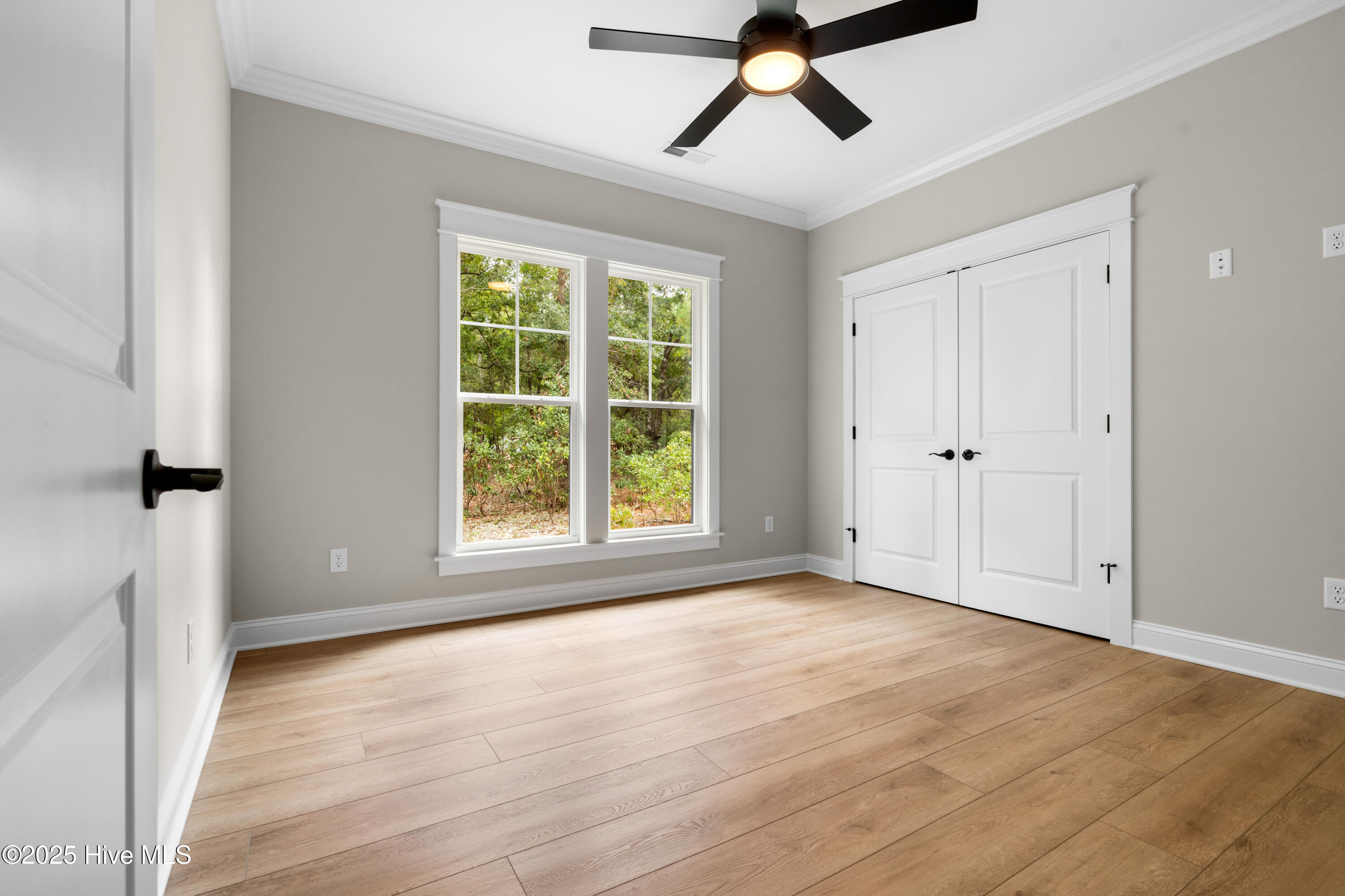 100485467 | Photo 29