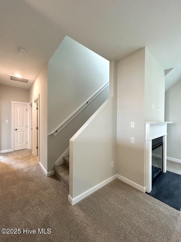 100562477 | Photo 27