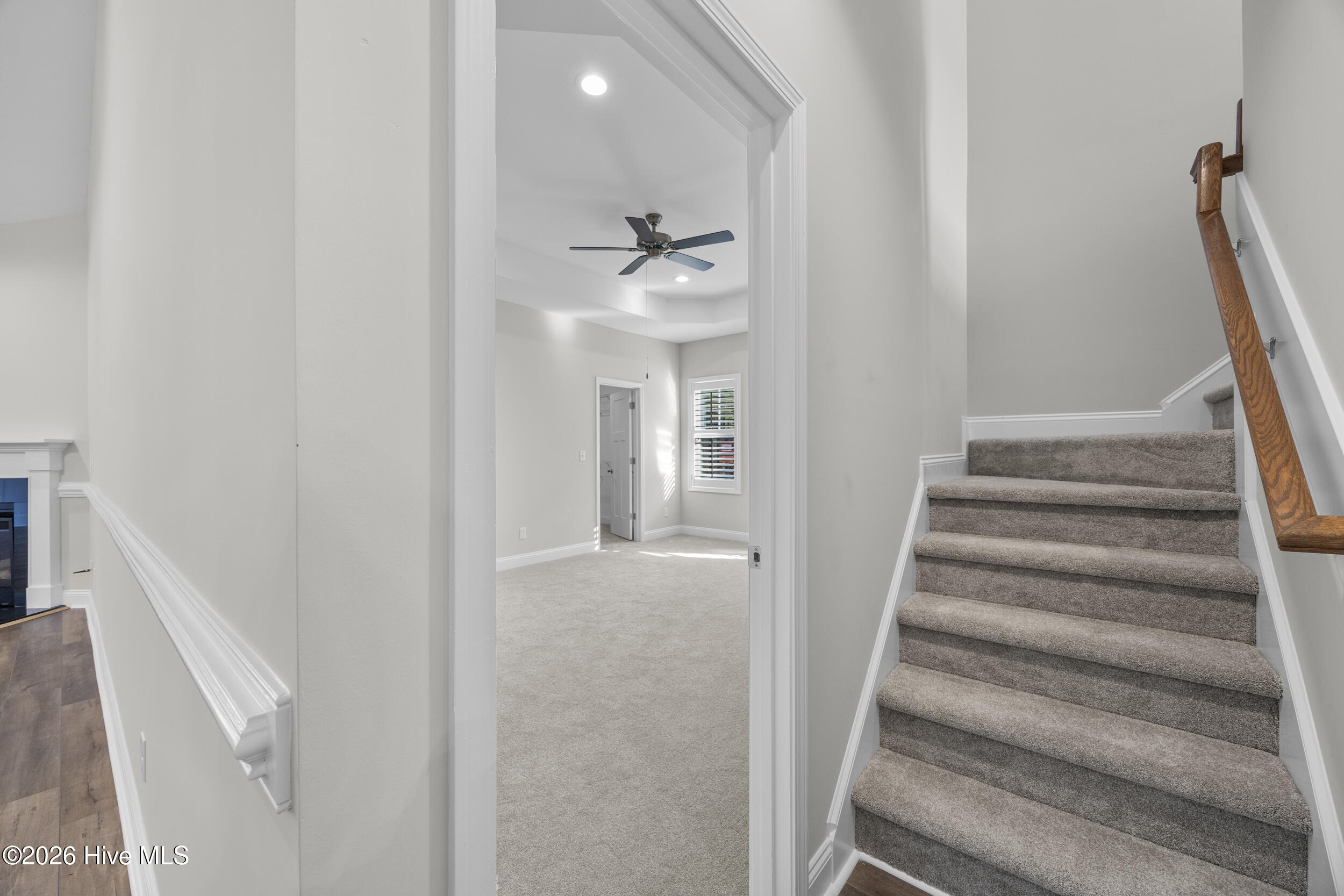 100559295 | Photo 32