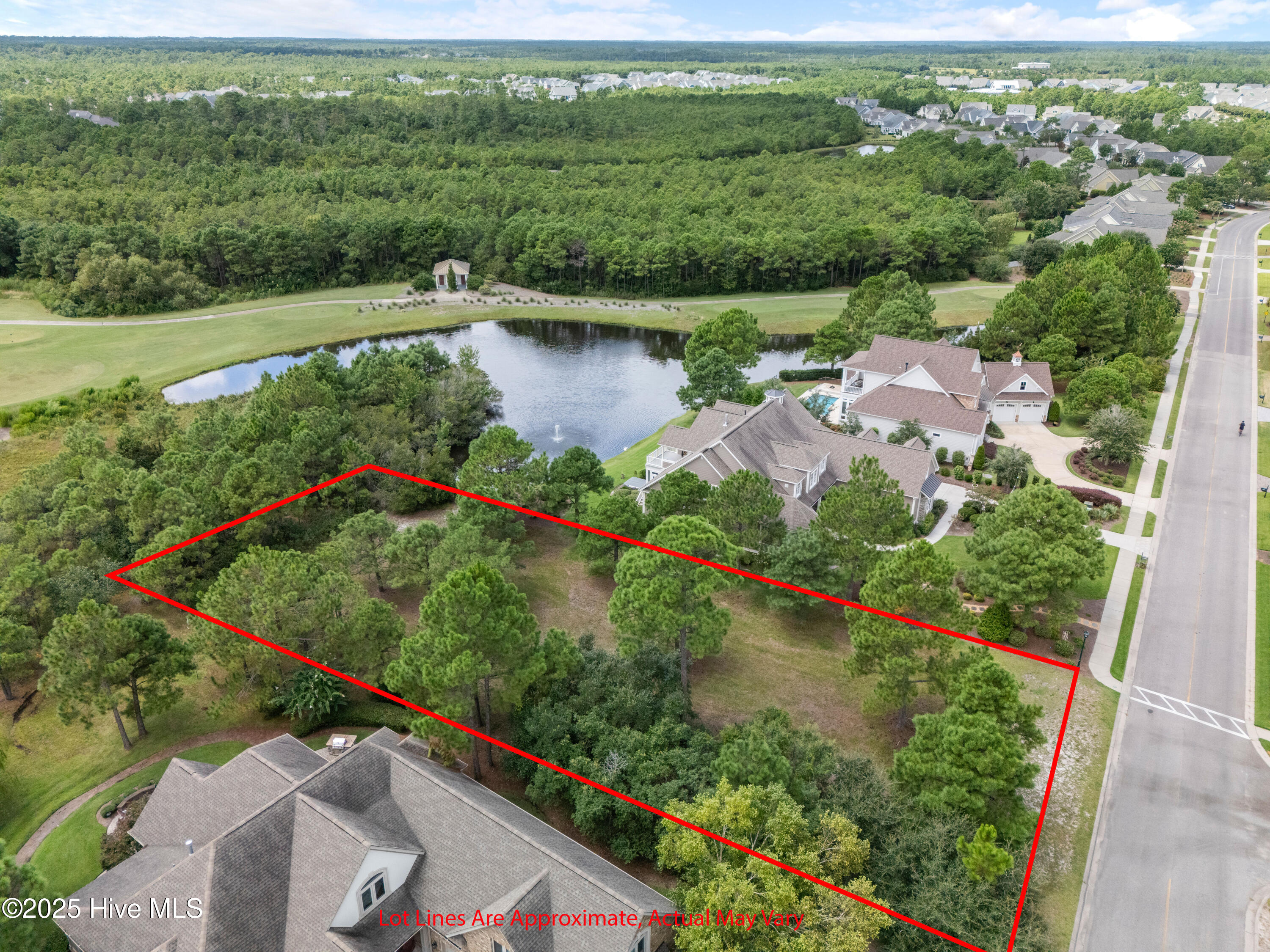 100569790 | Photo 16