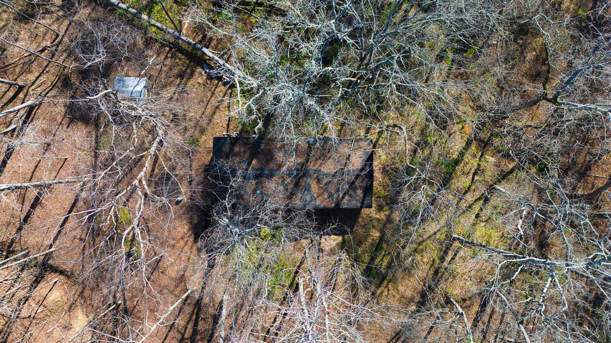 6384 Keg Creek Drive, Appling, GA, 30802