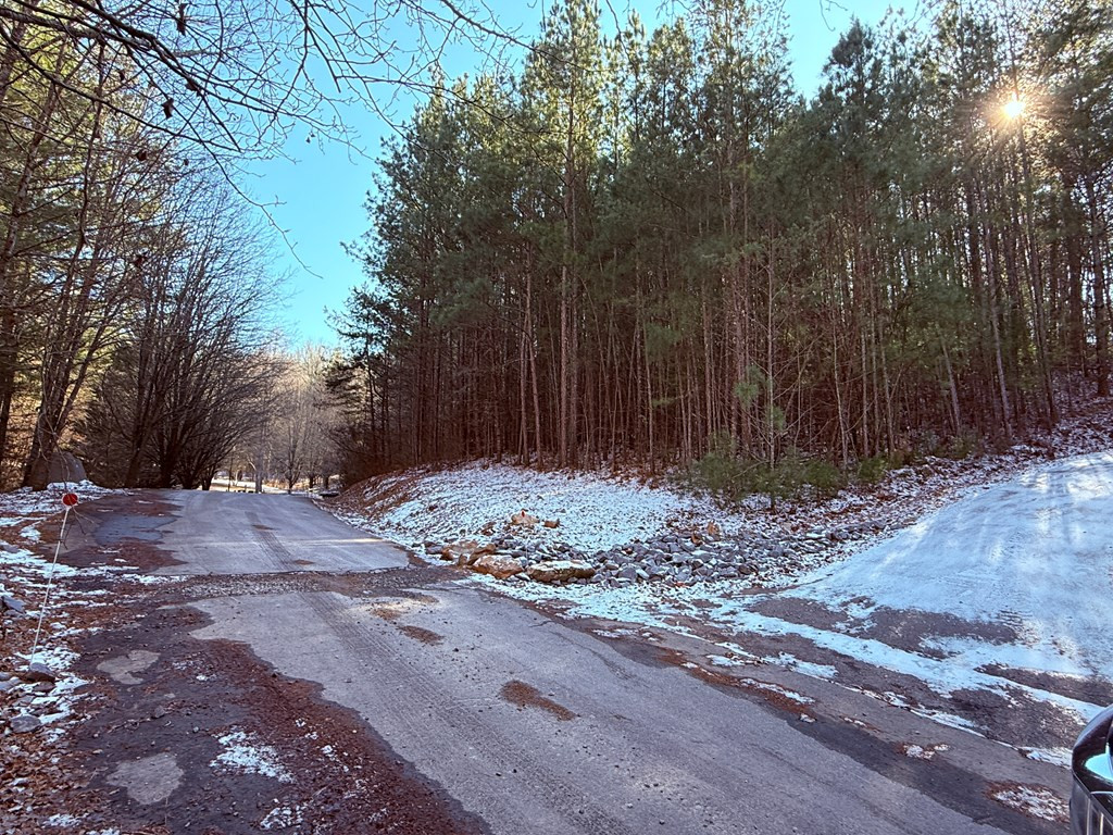 98500767 | Photo 3