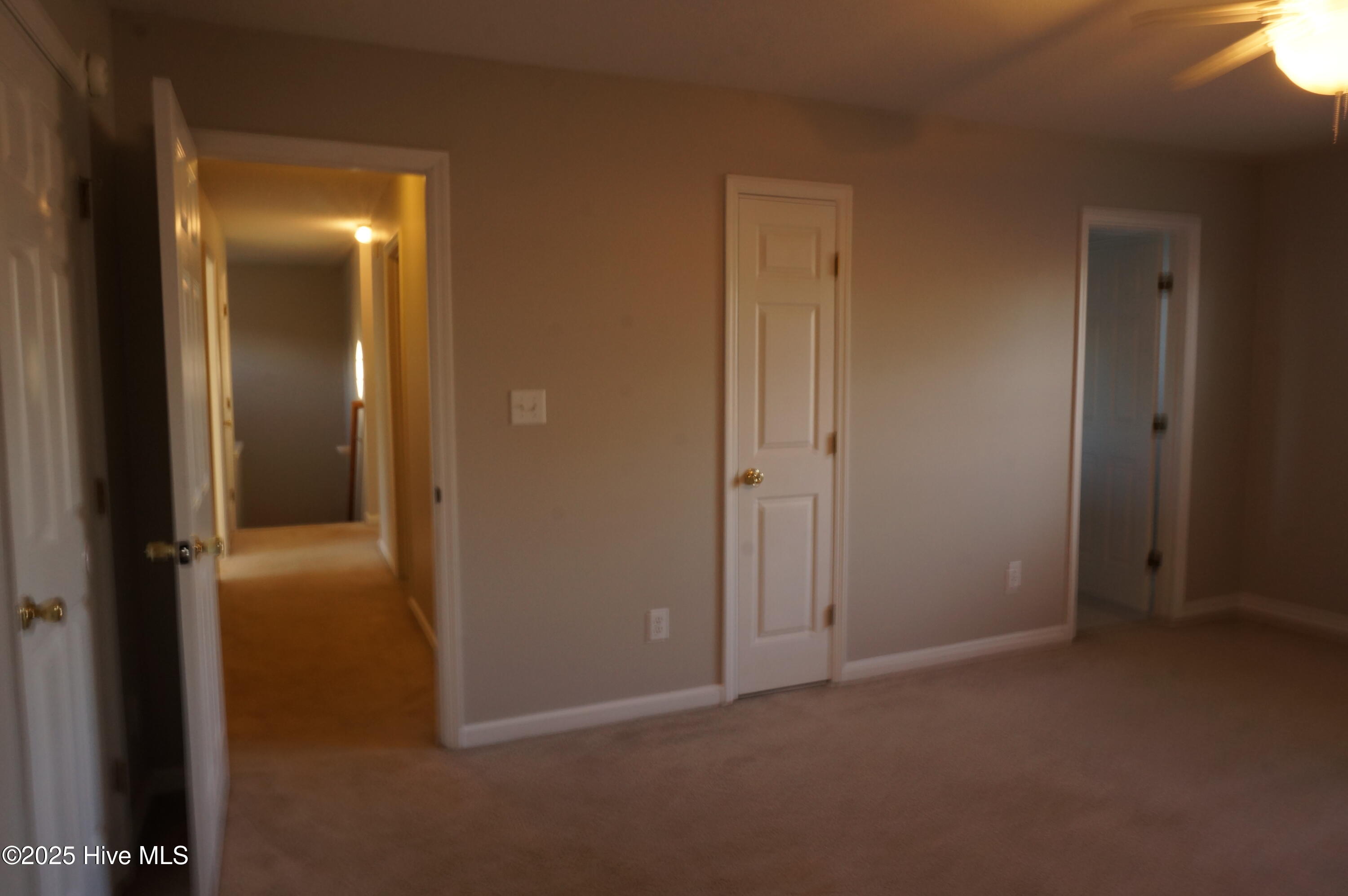 100546004 | Photo 15