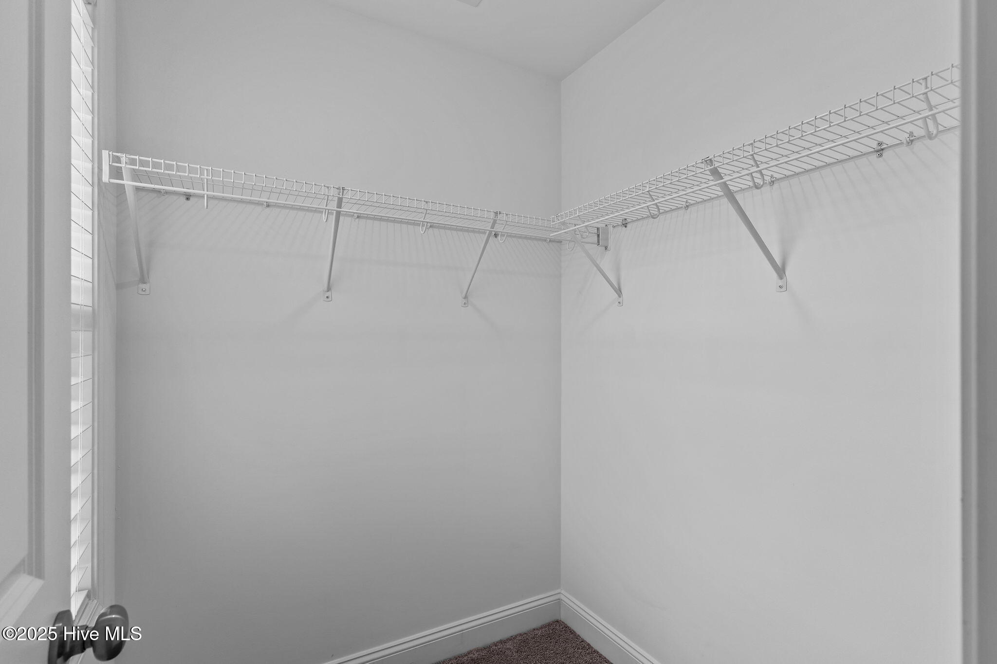 1527 Grey Cliff, Wilmington, NC 28405 – photo 19: 19-primary_closet