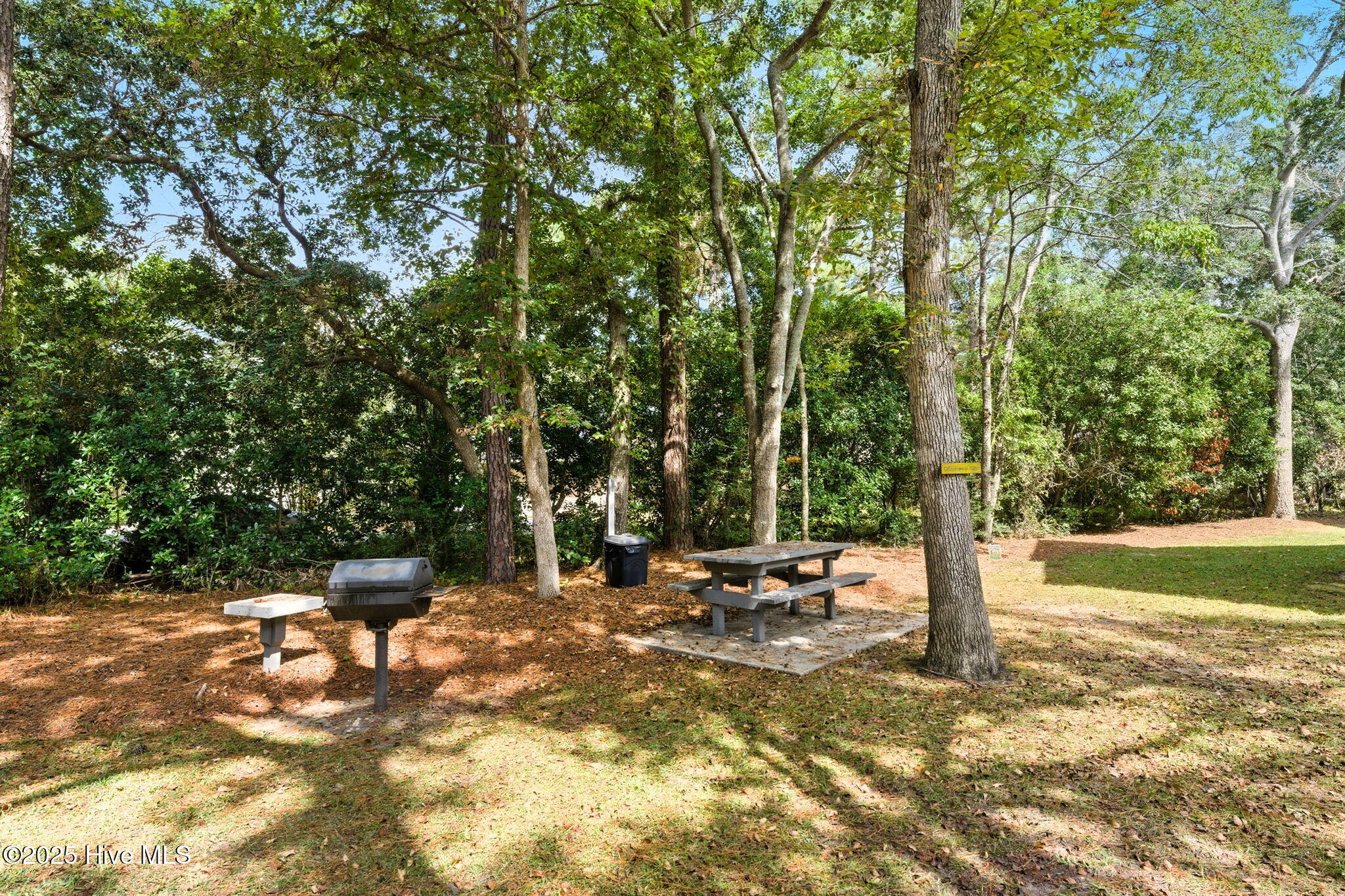 100535157 | Photo 32