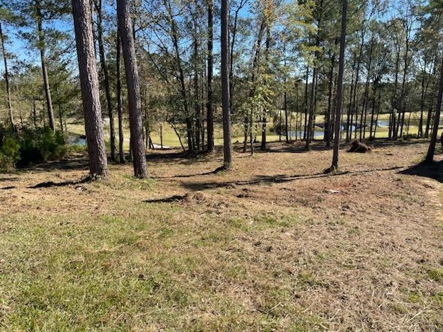 Lot M-46 Mary Johnson'S Court, North Augusta, SC, 29860