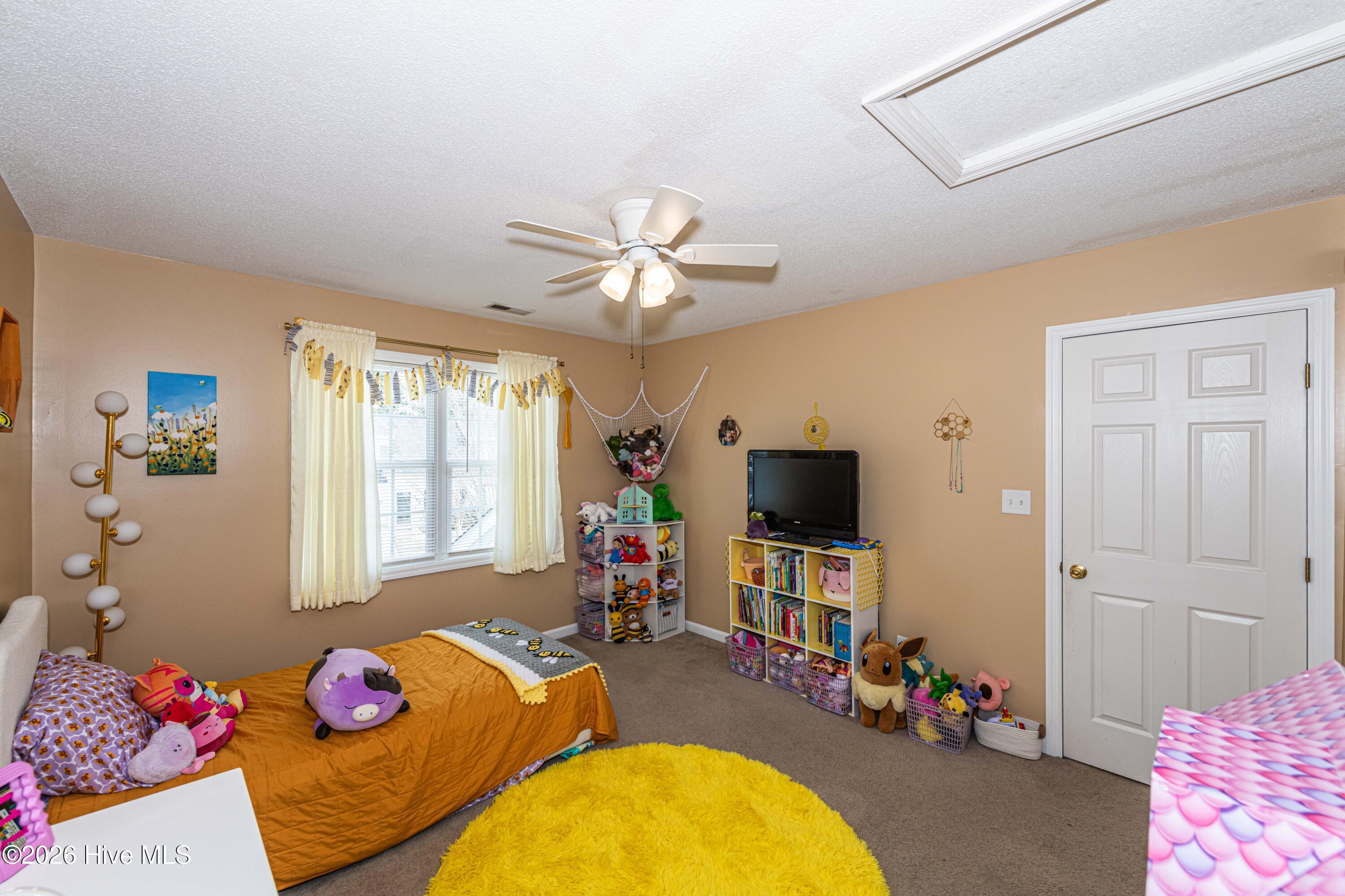 100558731 | Photo 29