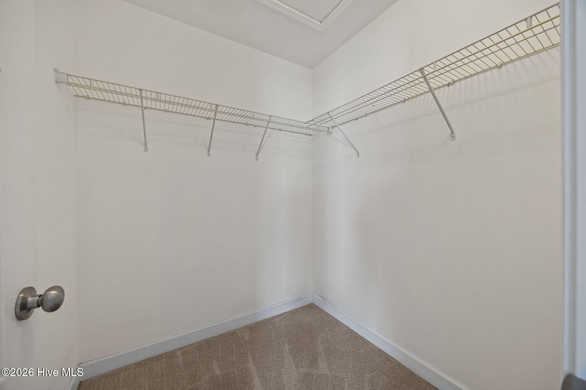 100554294 | Photo 14