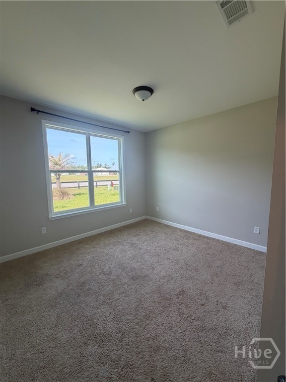 618 N McDonald Street, Ludowici, GA 31316 Listing Photo  11