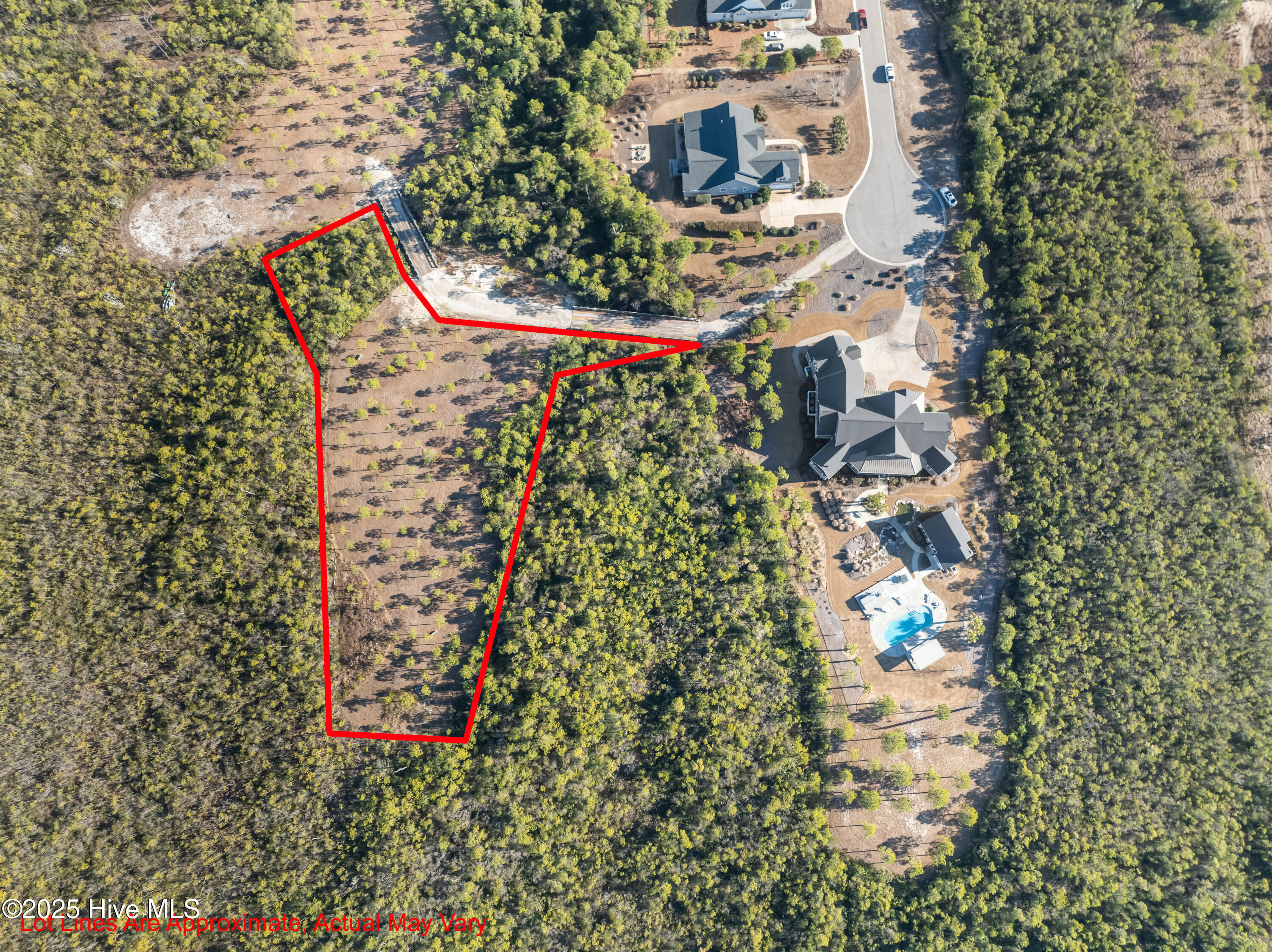 100490322 | Photo 11