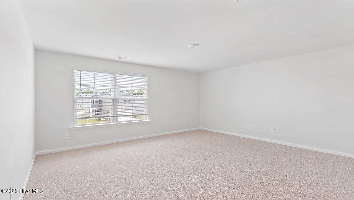 1054 Pampas Grass Drive Lot 335, Castle Hayne, NC 28429 – photo 12: Similar Home