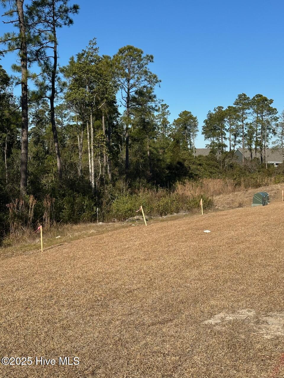 100531672 | Photo 34