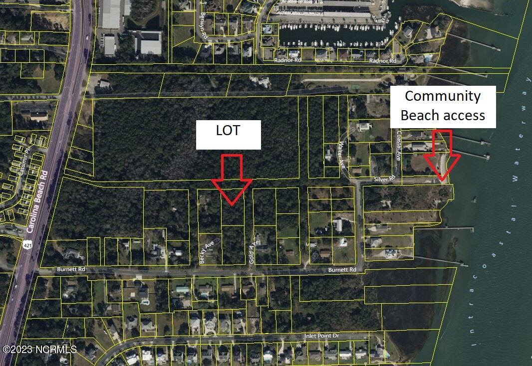 100551098 | Photo 13