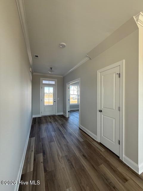 100558405 | Photo 15