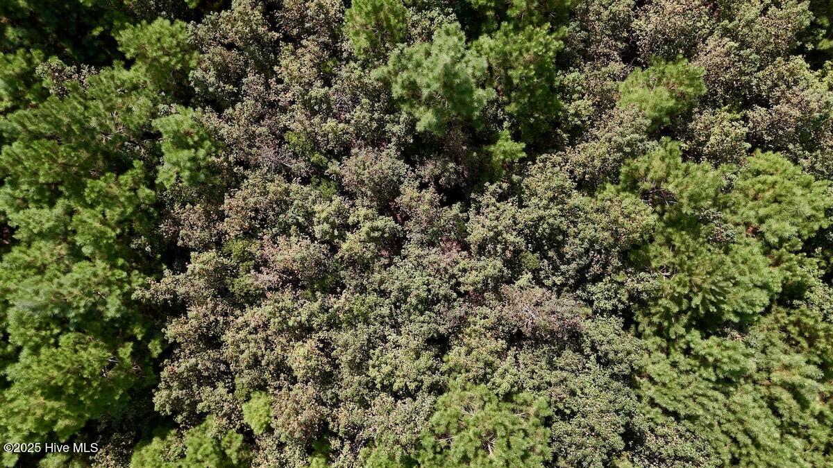 100531803 | Photo 26