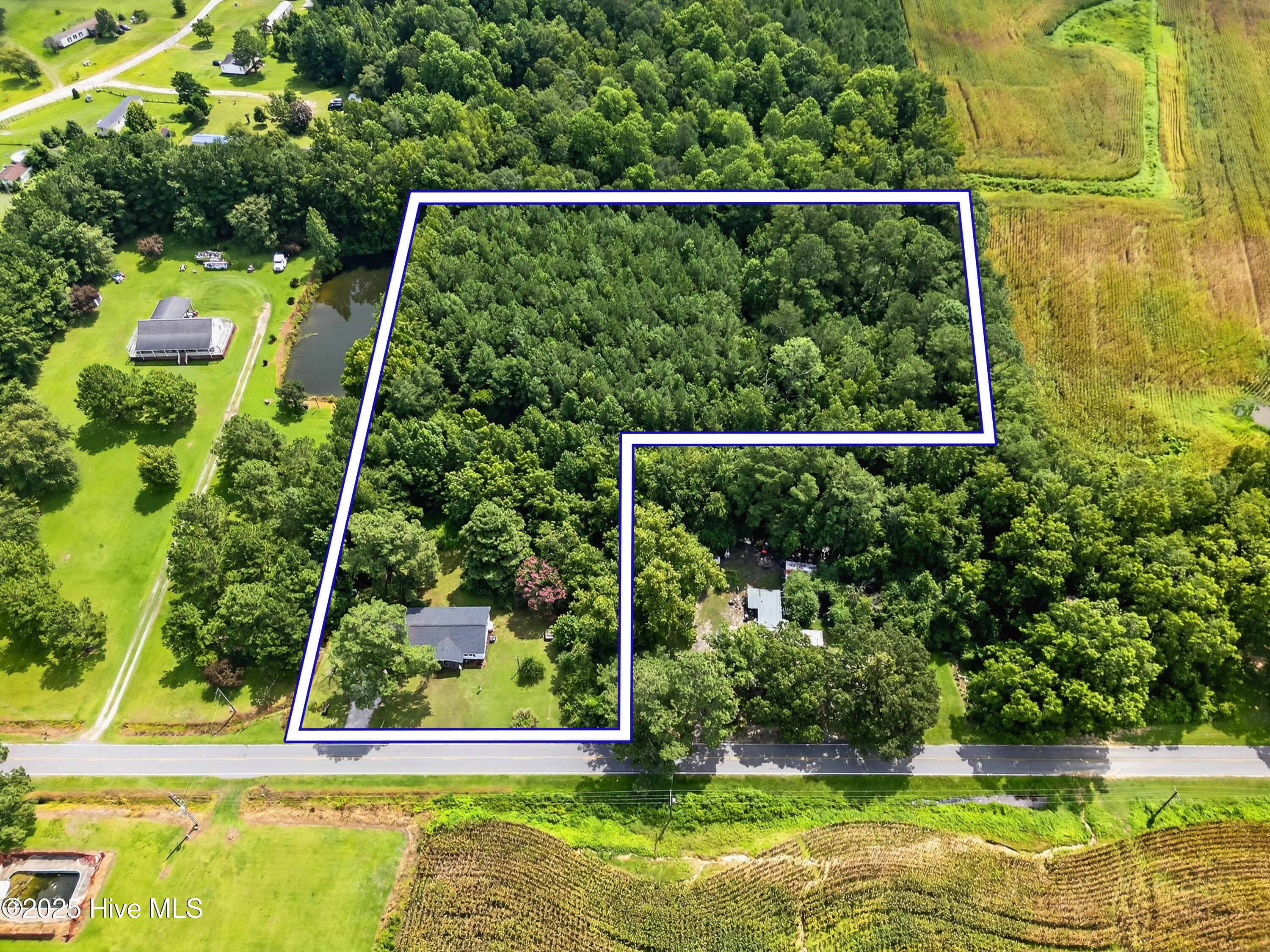 100521509 | Photo 13