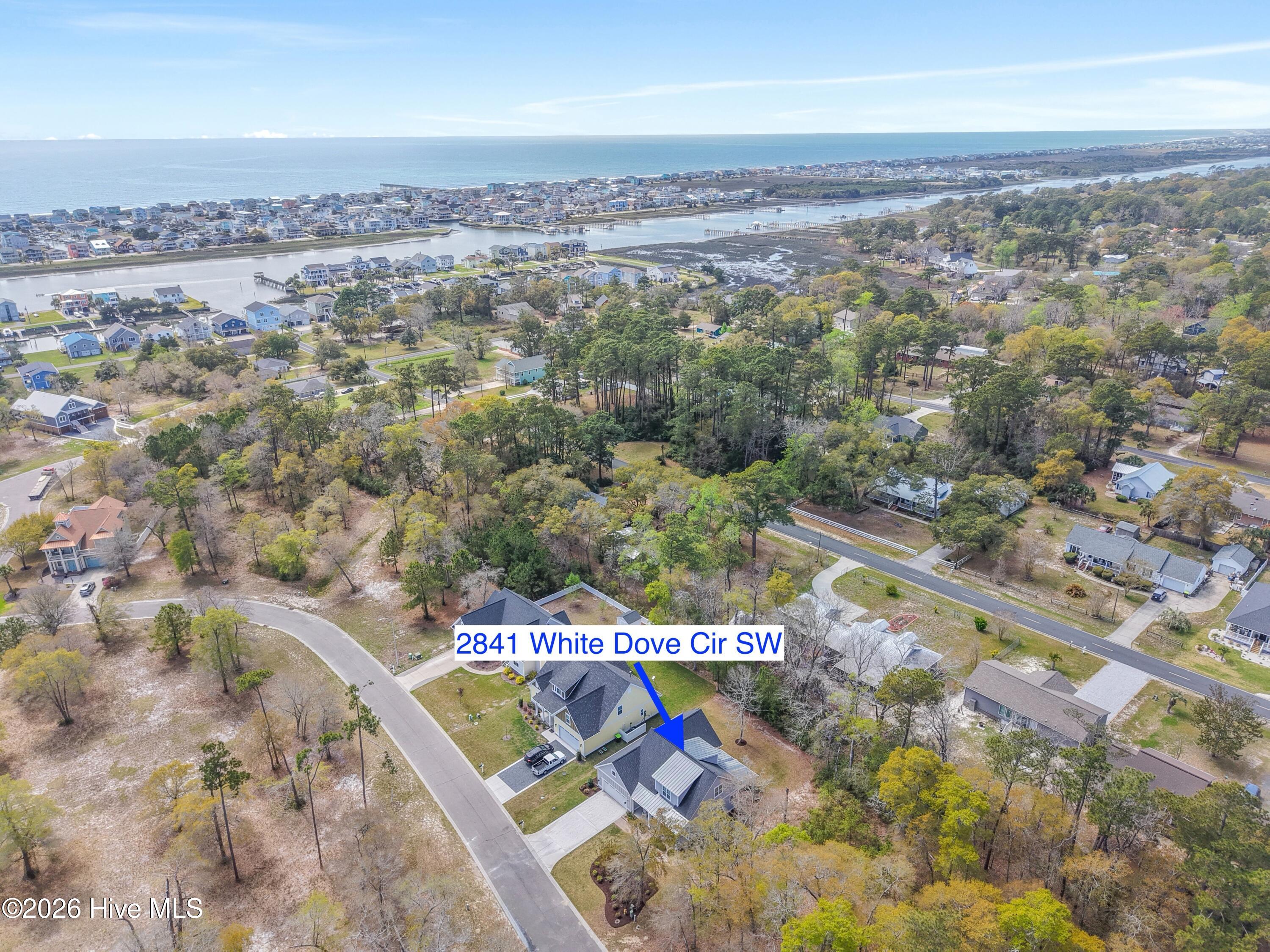 100565017 | Photo 63