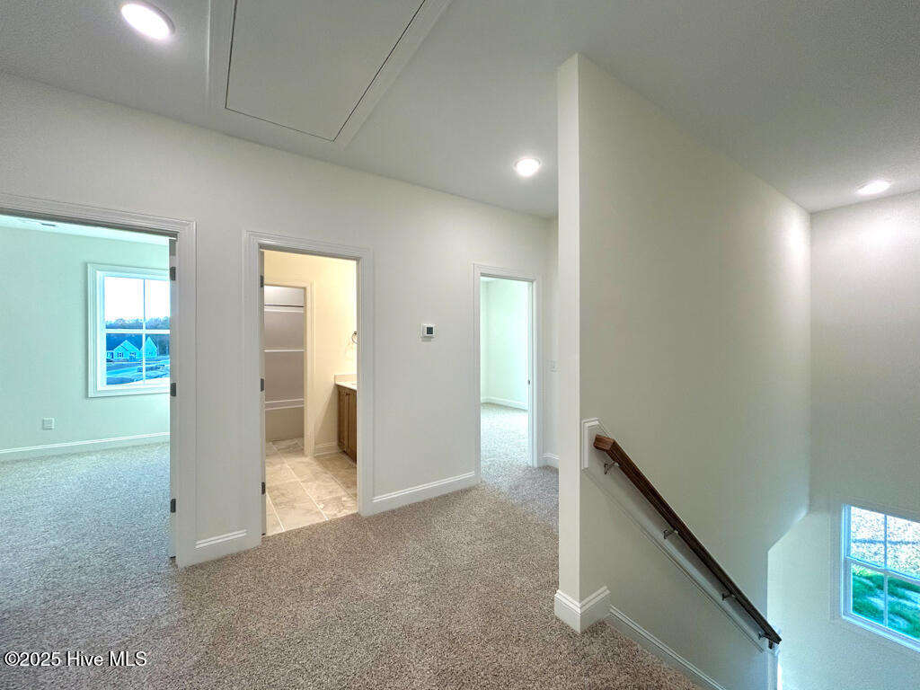 100510089 | Photo 56