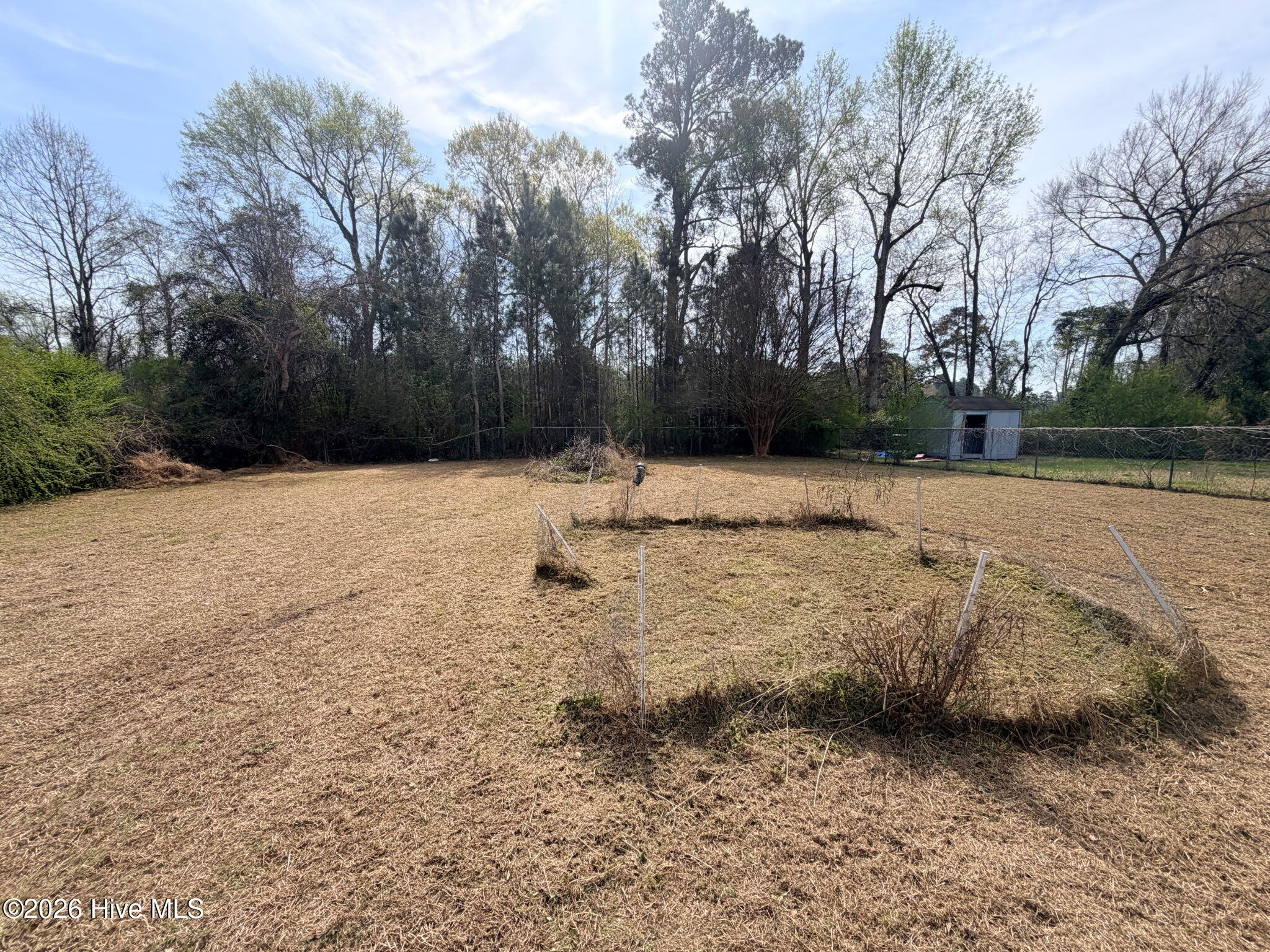 100562262 | Photo 31