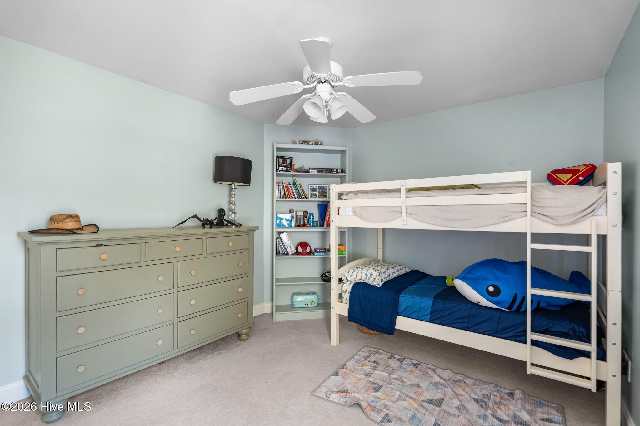 100558243 | Photo 41