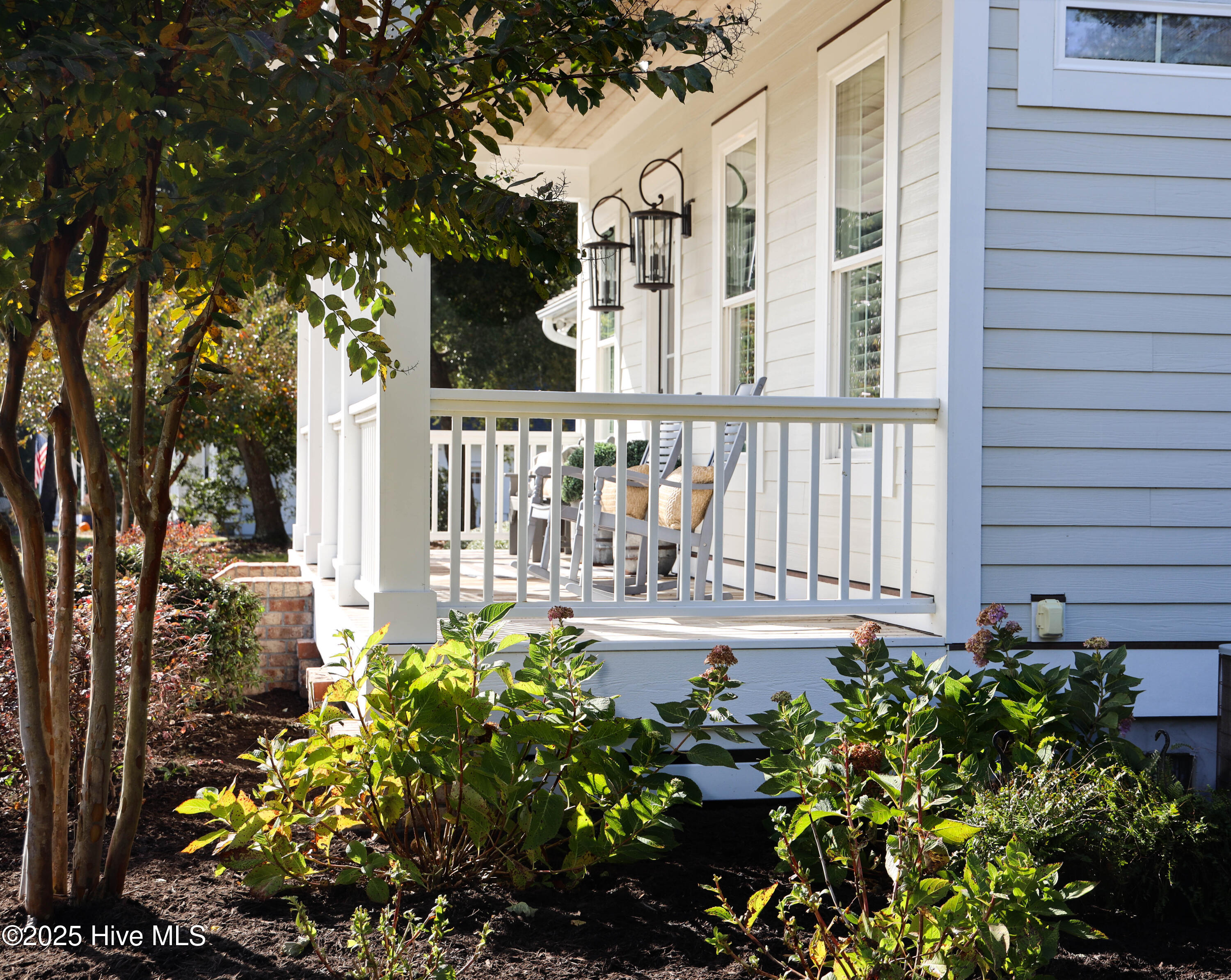 100556308 | Photo 103