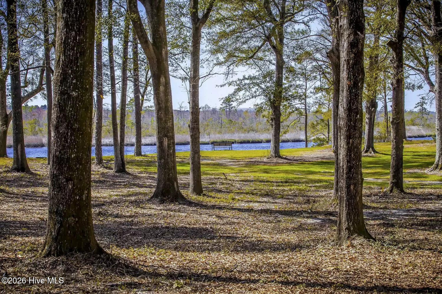 100568555 | Photo 53