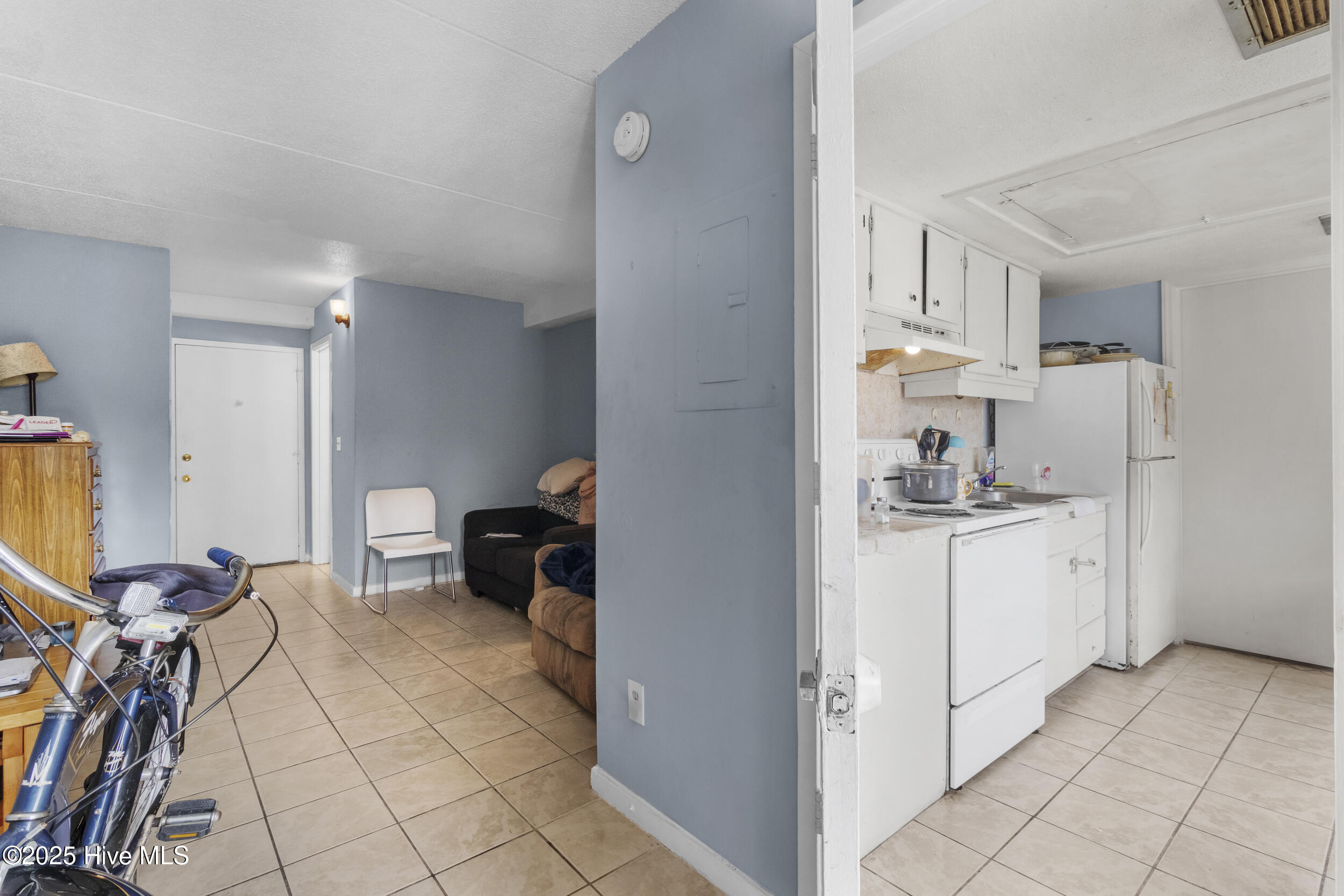 100533245 | Photo 10