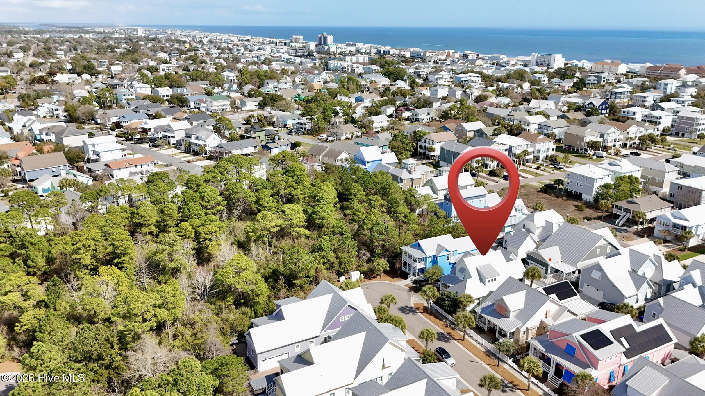 100559035 | Photo 45