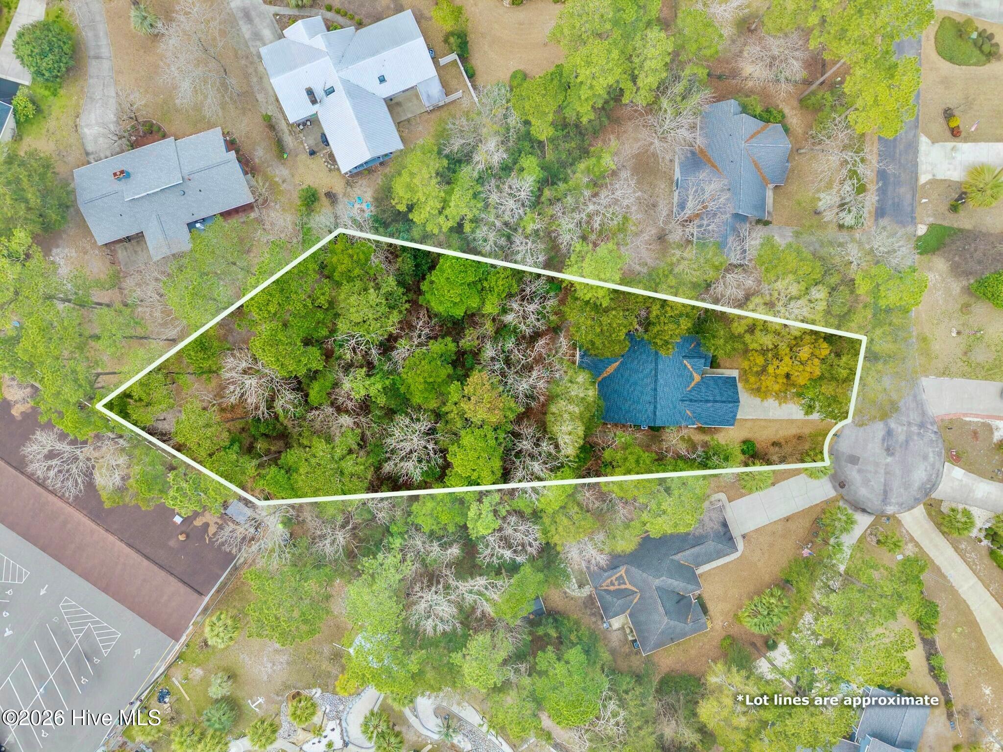 100559407 | Photo 67